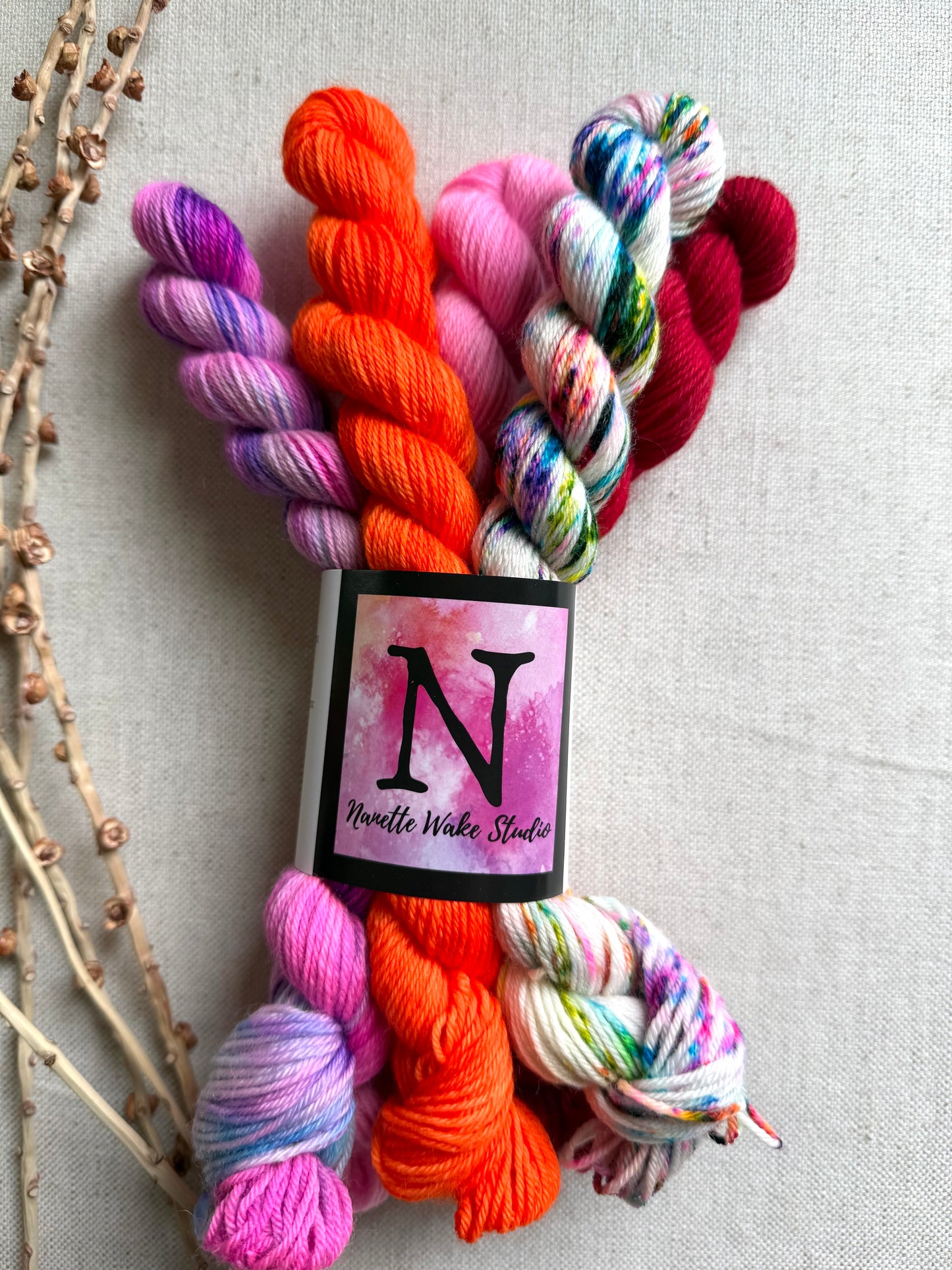 Happy Go Lucky - SW Merino Nylon Mini Skein Set