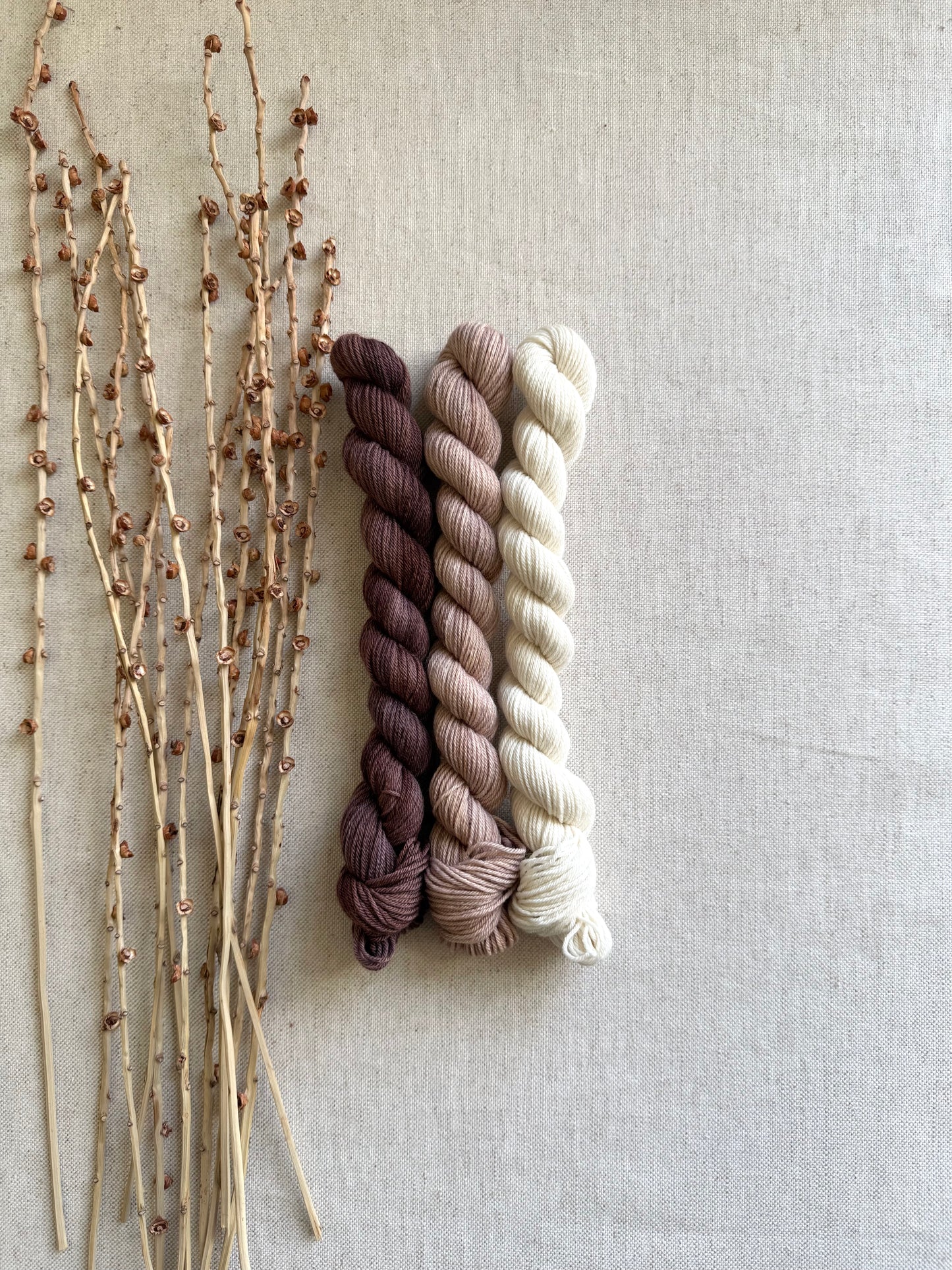 Teddy Beary Gnome - Mini Skein Set