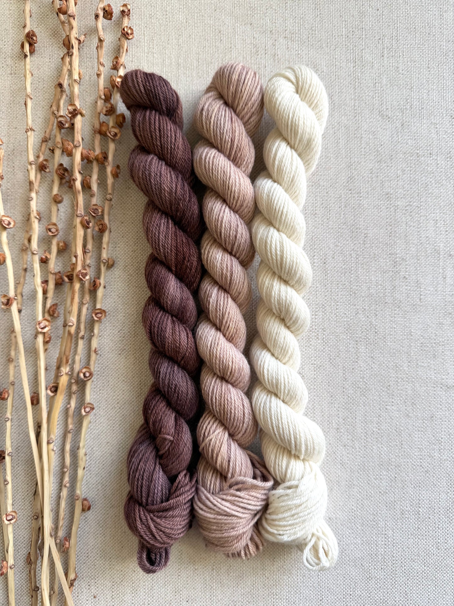 Teddy Beary Gnome - Mini Skein Set