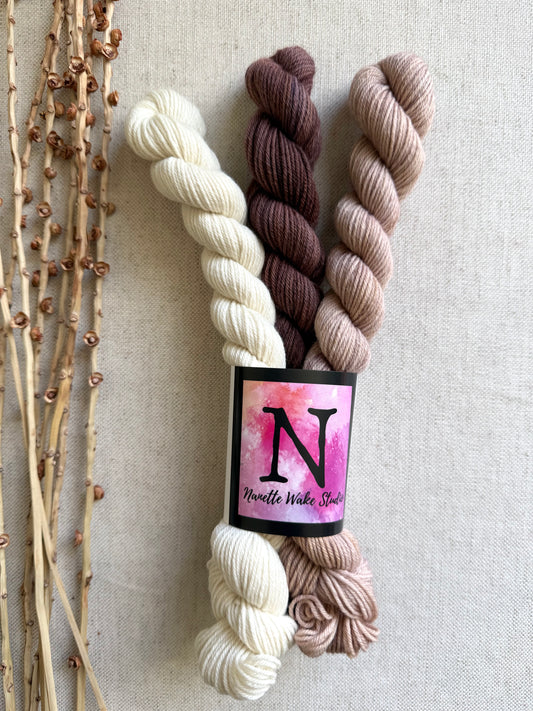 Teddy Beary Gnome - Mini Skein Set