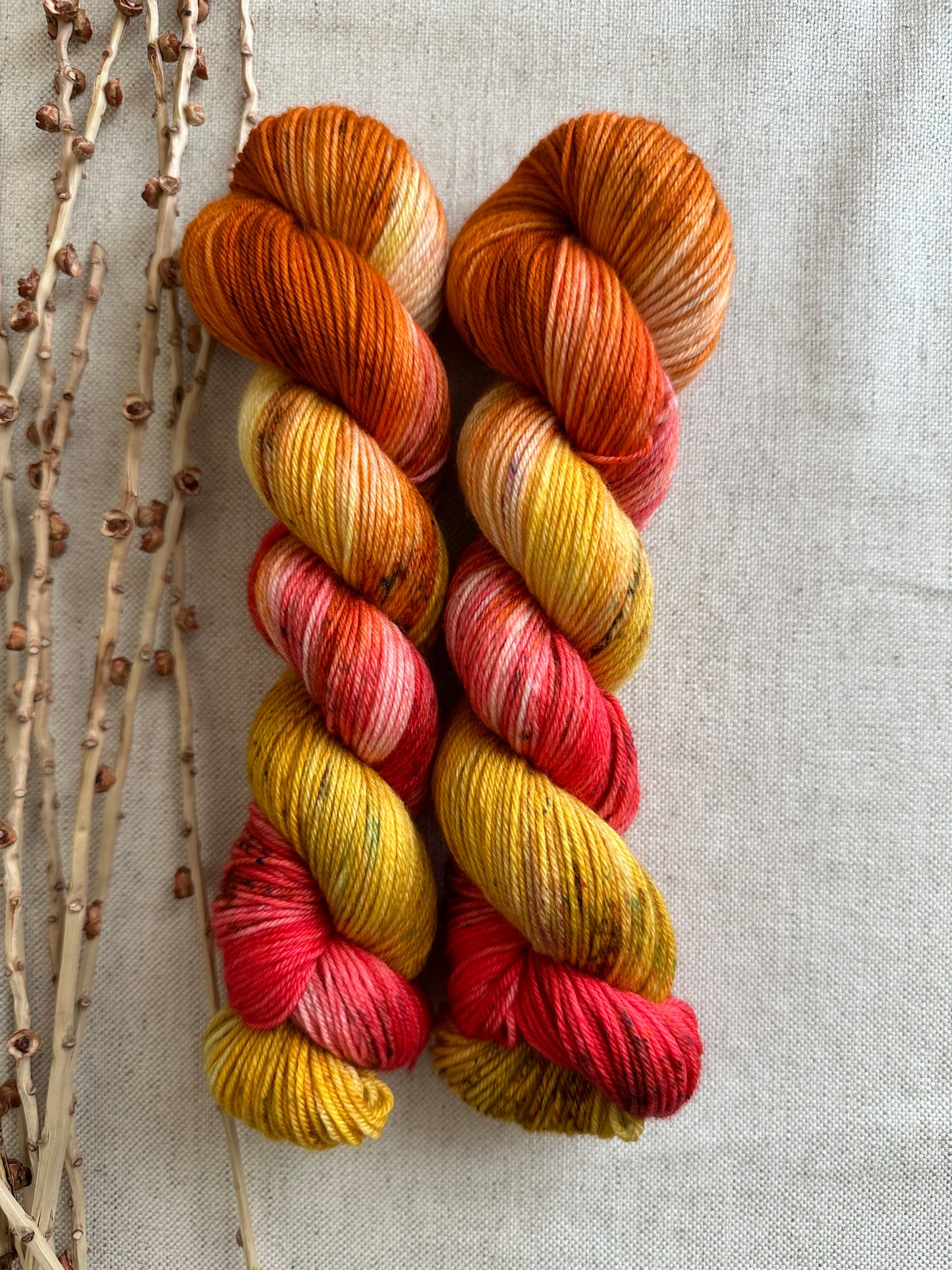 Maize 50g Skein