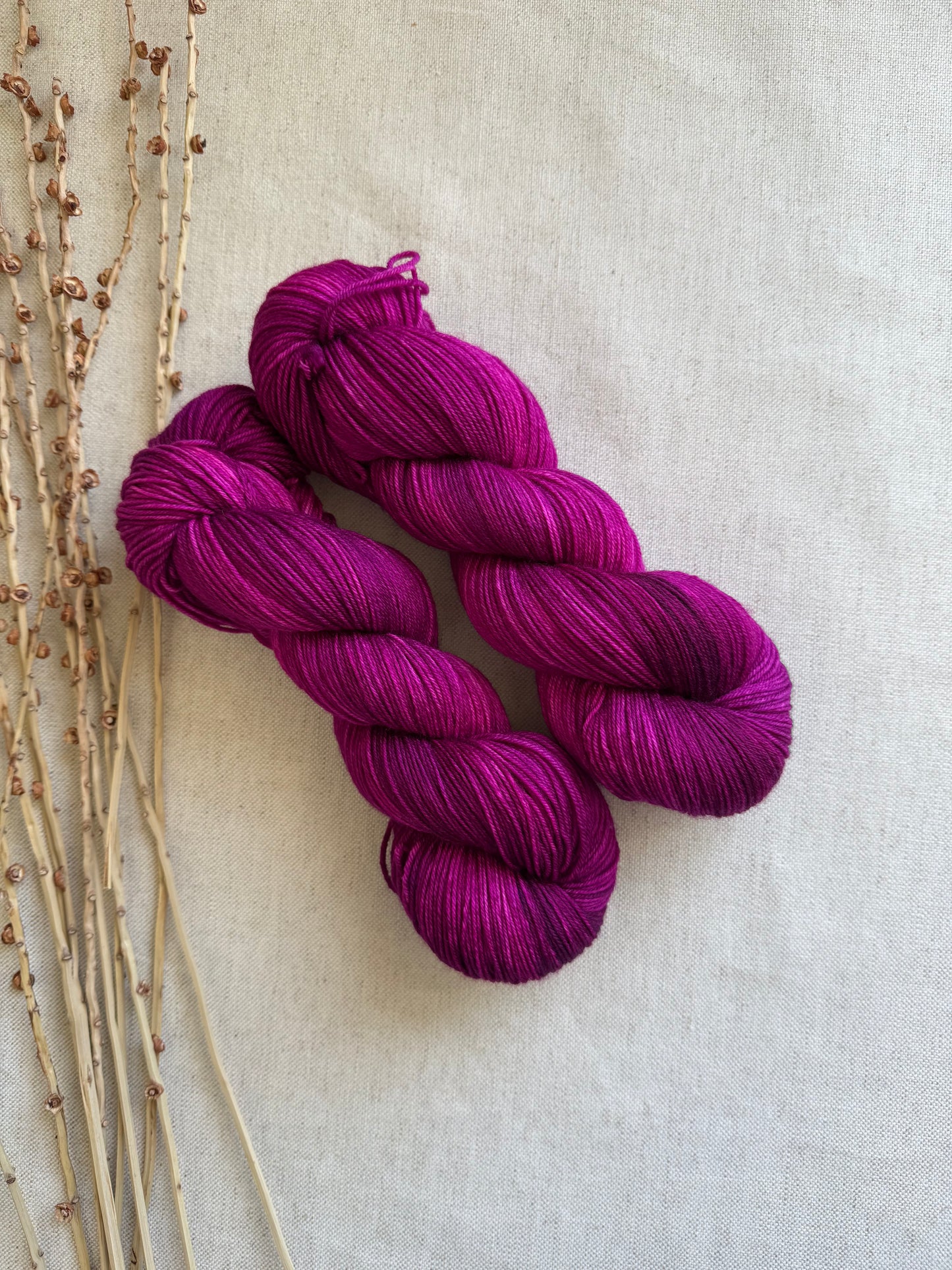 Berries SW Merino Nylon 100g