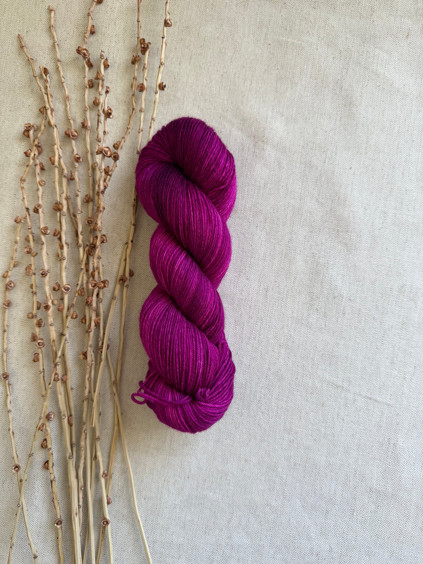 Berries SW Merino Nylon 100g