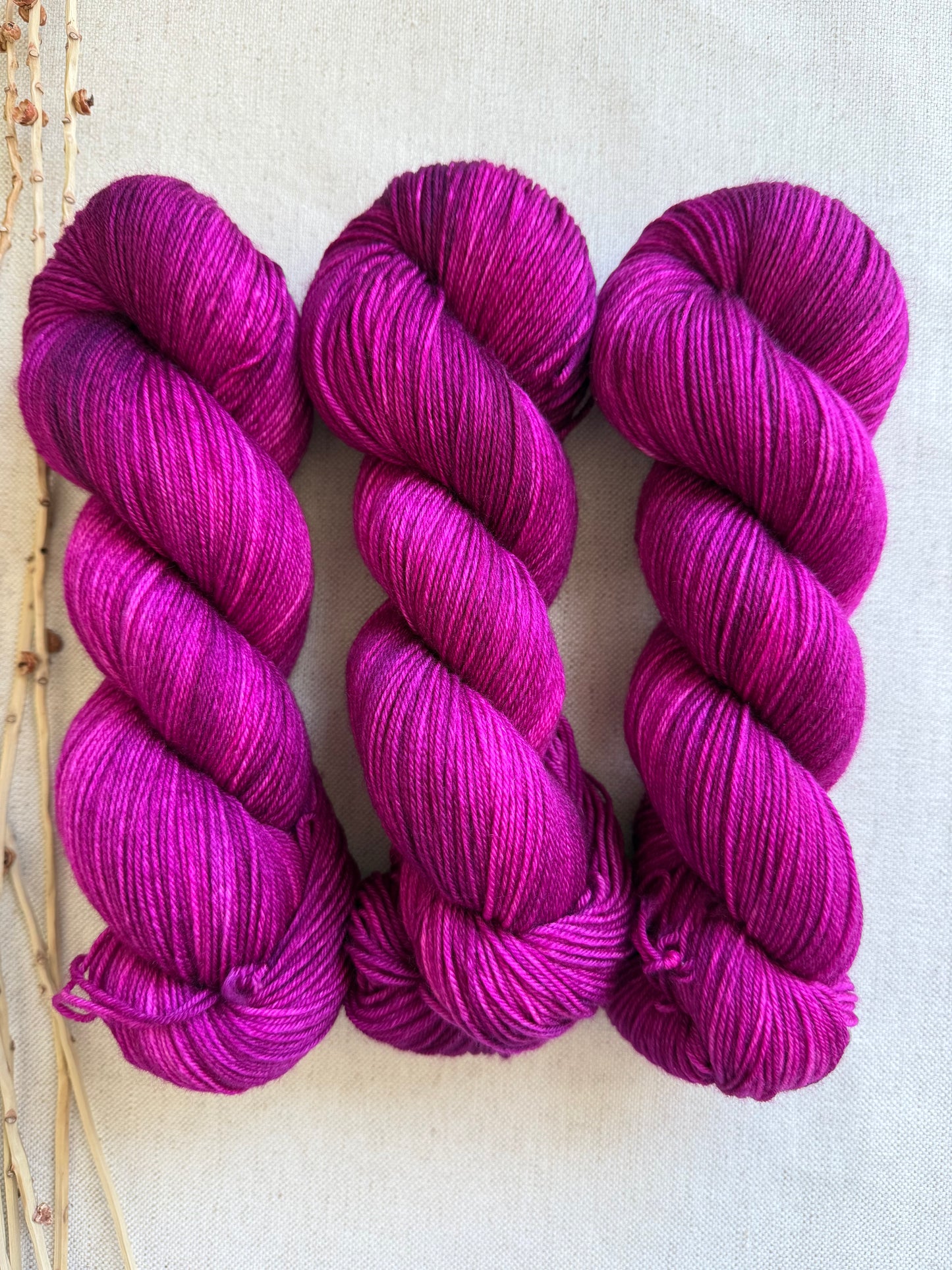 Berries SW Merino Nylon 100g