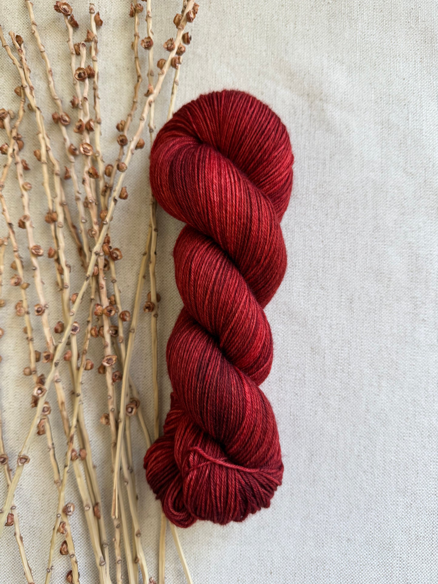 Rusty Nail SW Merino Nylon Yarn
