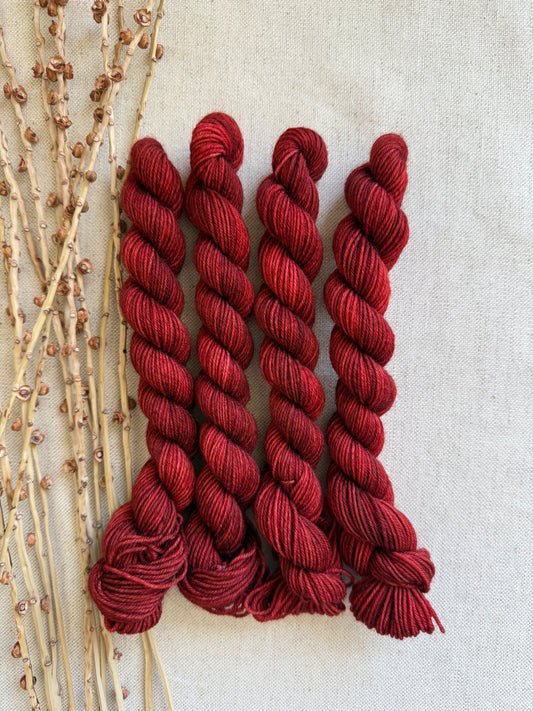 Rusty Nail - SW Wool Recycled Nylon Mini Skein