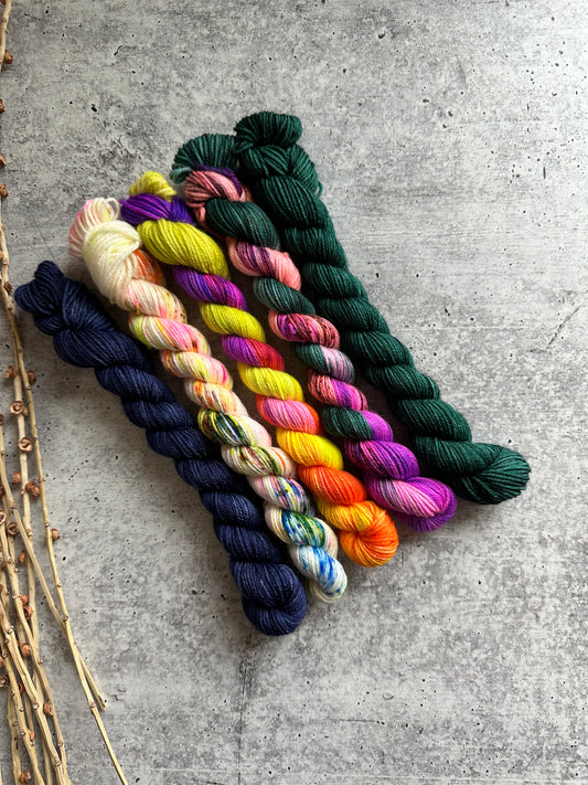 Chassé - SW Merino Nylon Mini Skein Set