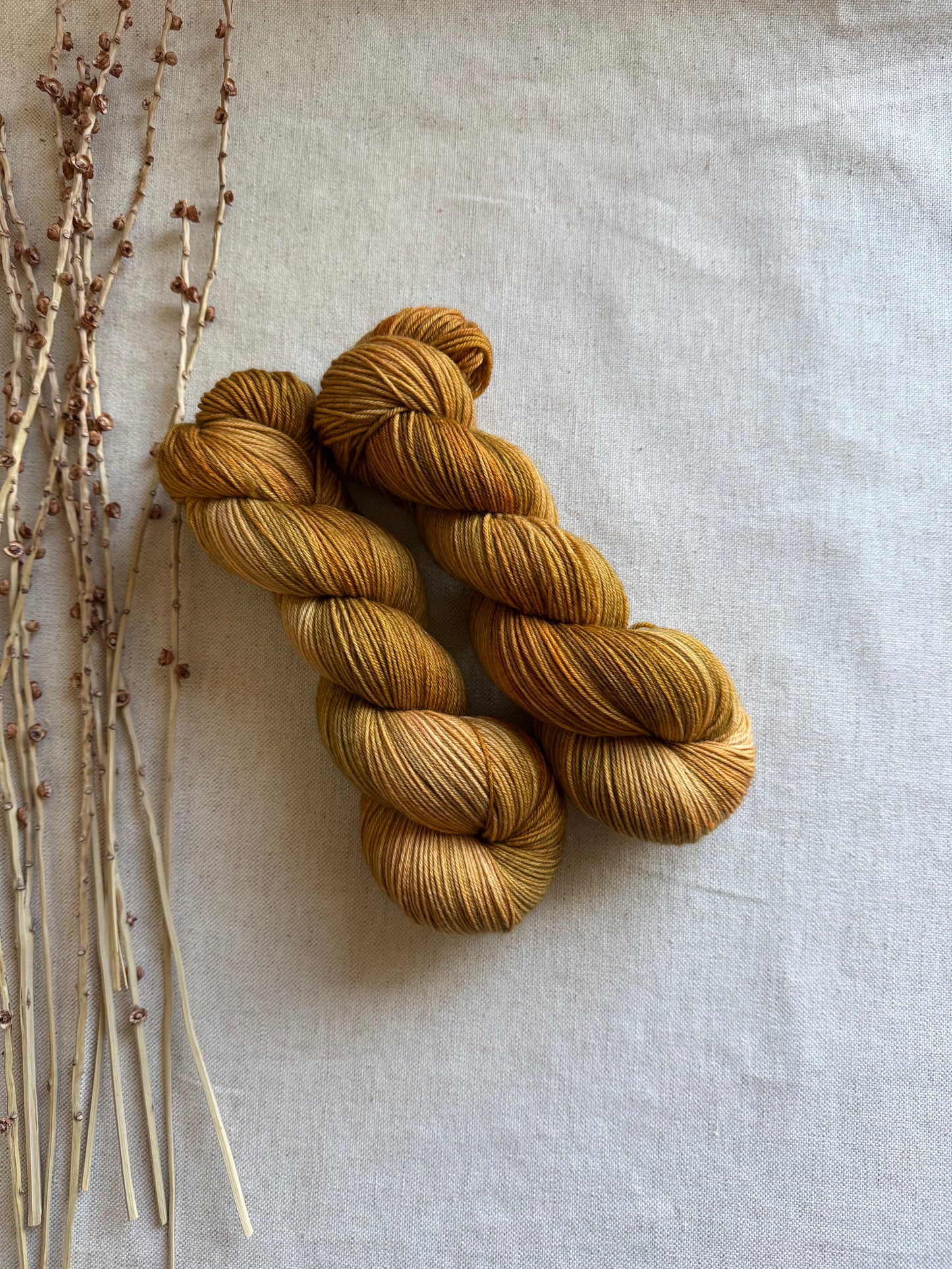 Maple Sugar SW Merino Nylon 100g