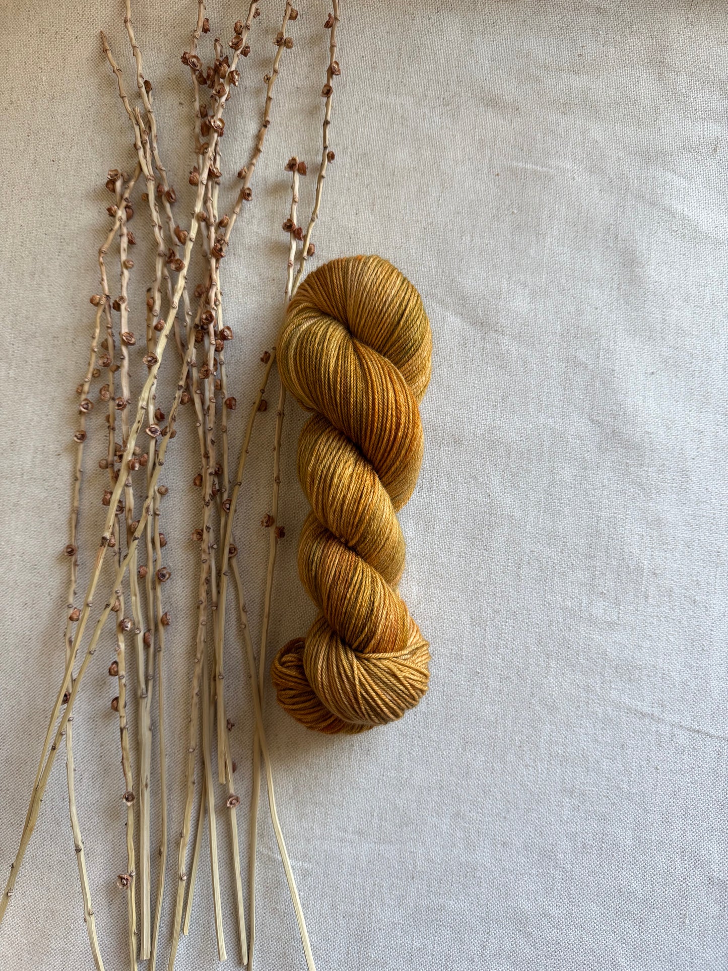 Maple Sugar SW Merino Nylon 100g
