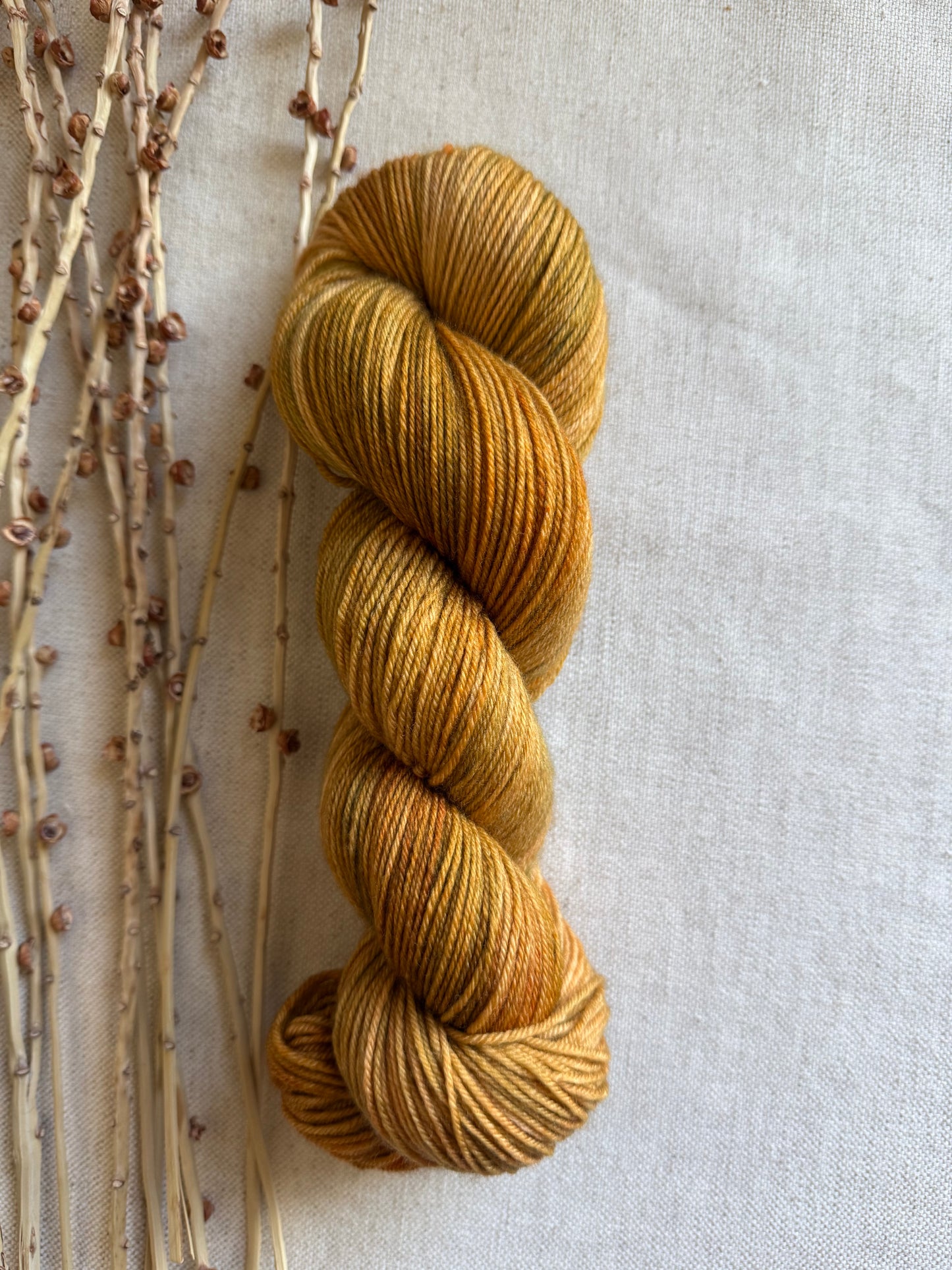 Maple Sugar SW Merino Nylon 100g