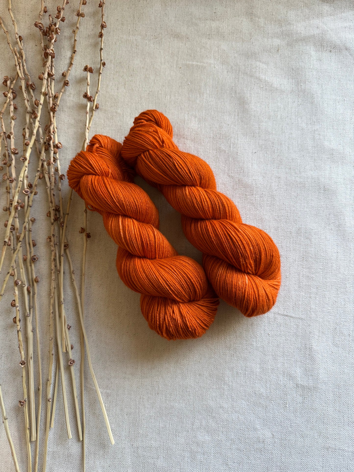 Spiced Pumpkin SW Merino Nylon 100g Skein