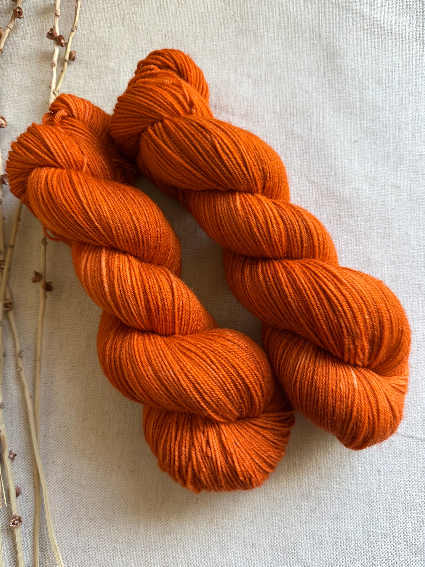 Spiced Pumpkin SW Merino Nylon 100g Skein