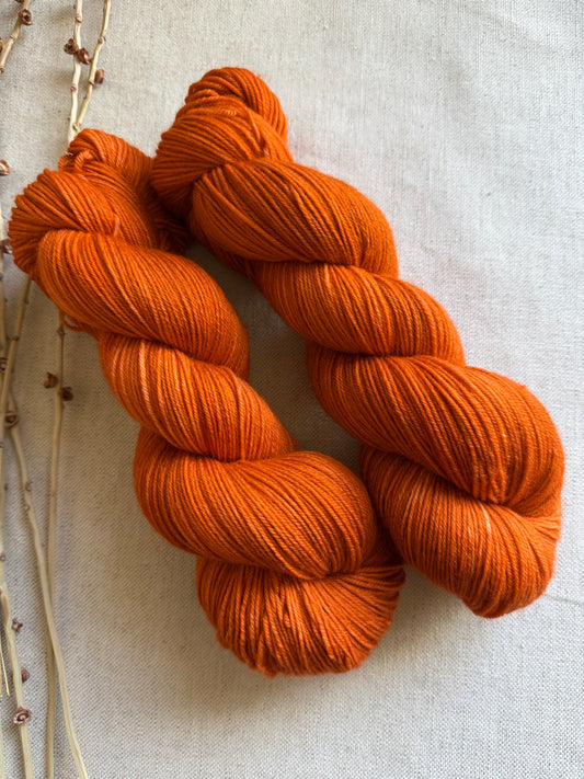 Spiced Pumpkin SW Merino Nylon 100g Skein