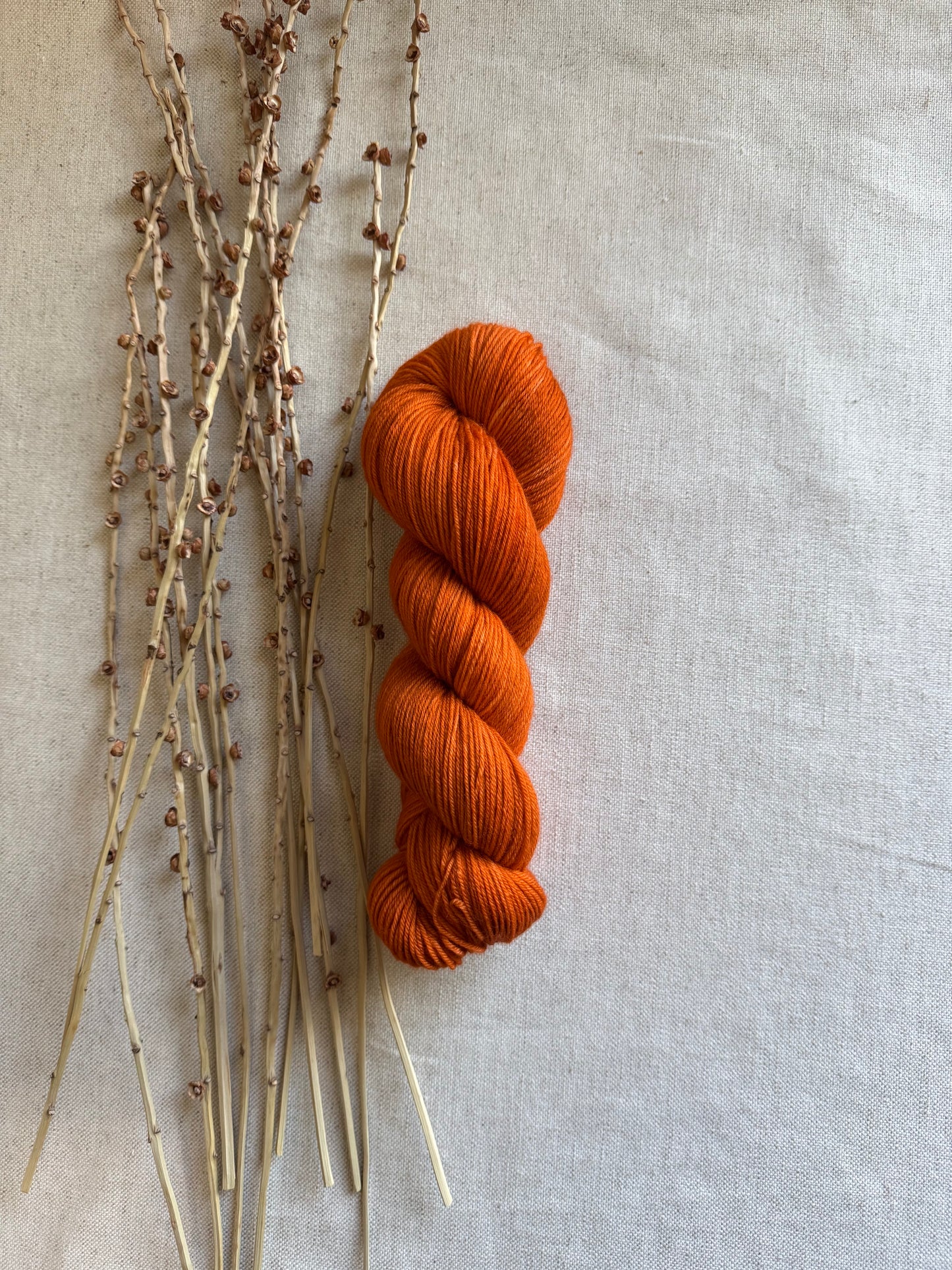 Spiced Pumpkin SW Merino Nylon 100g Skein