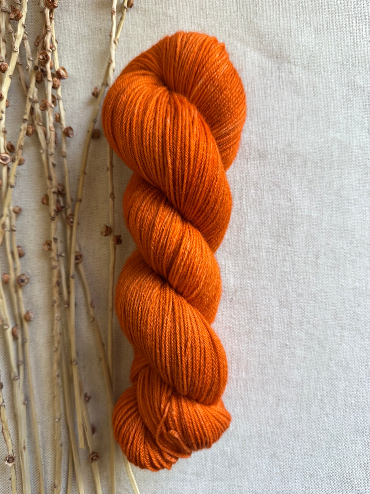 Spiced Pumpkin SW Merino Nylon 100g Skein