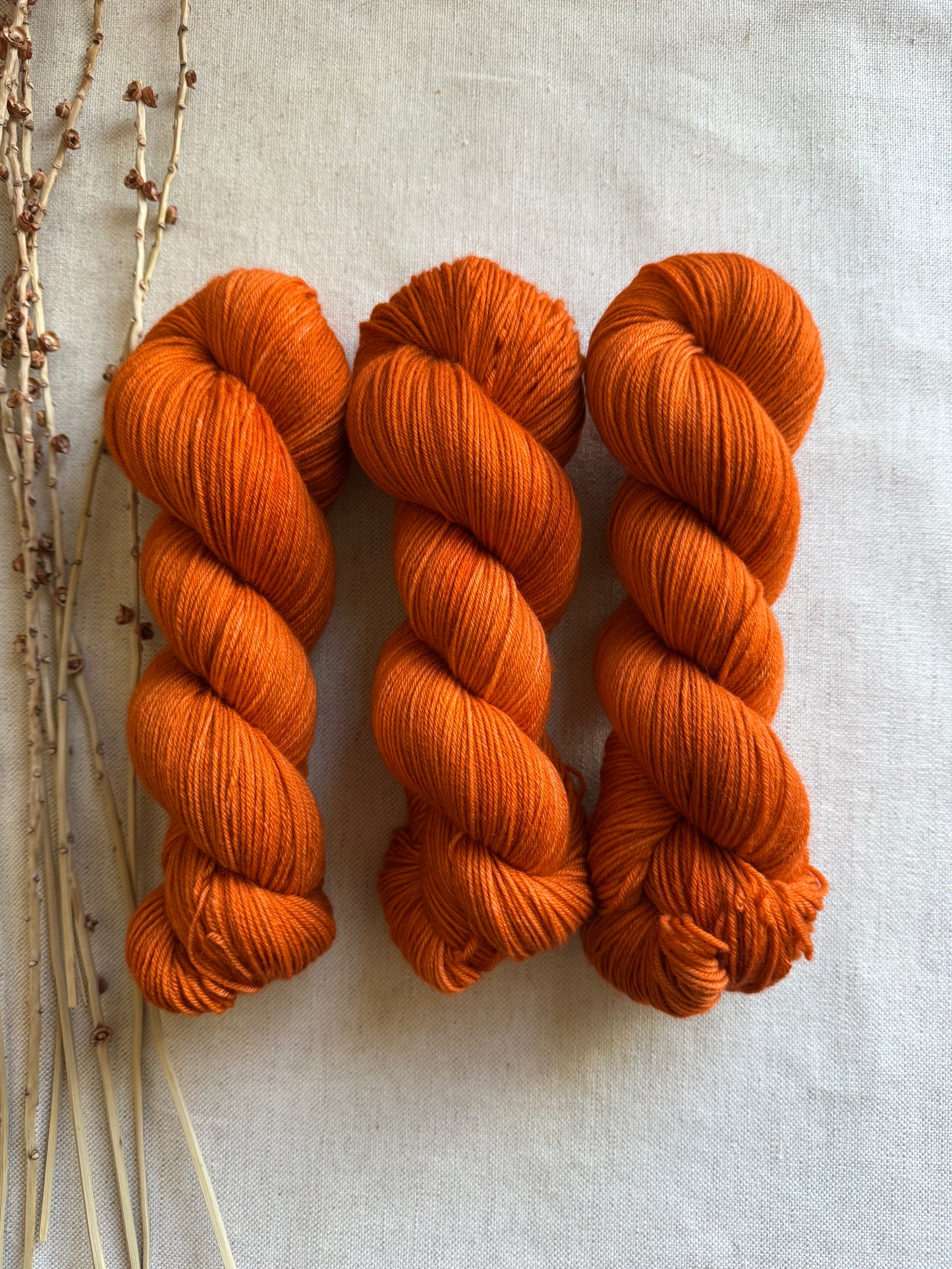 Spiced Pumpkin SW Merino Nylon 100g Skein