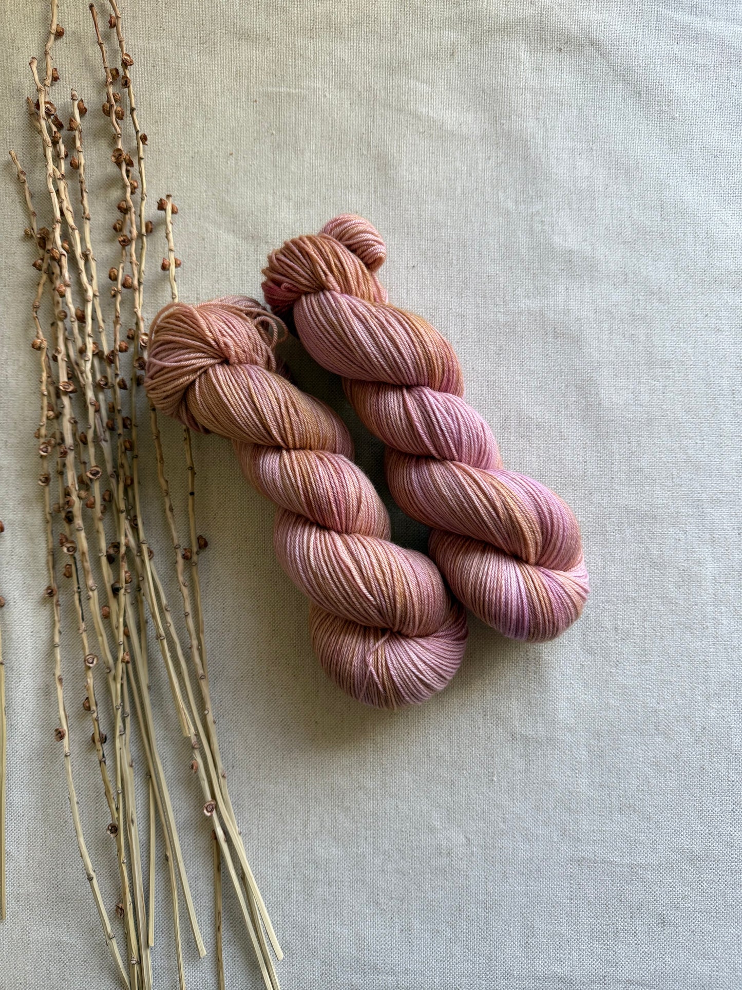 Lobster Bisque SW Merino Nylon 100g
