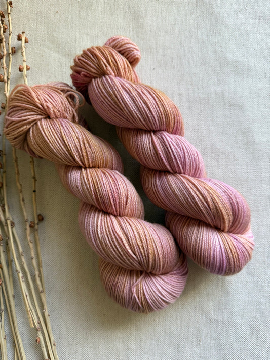 Lobster Bisque SW Merino Nylon 100g