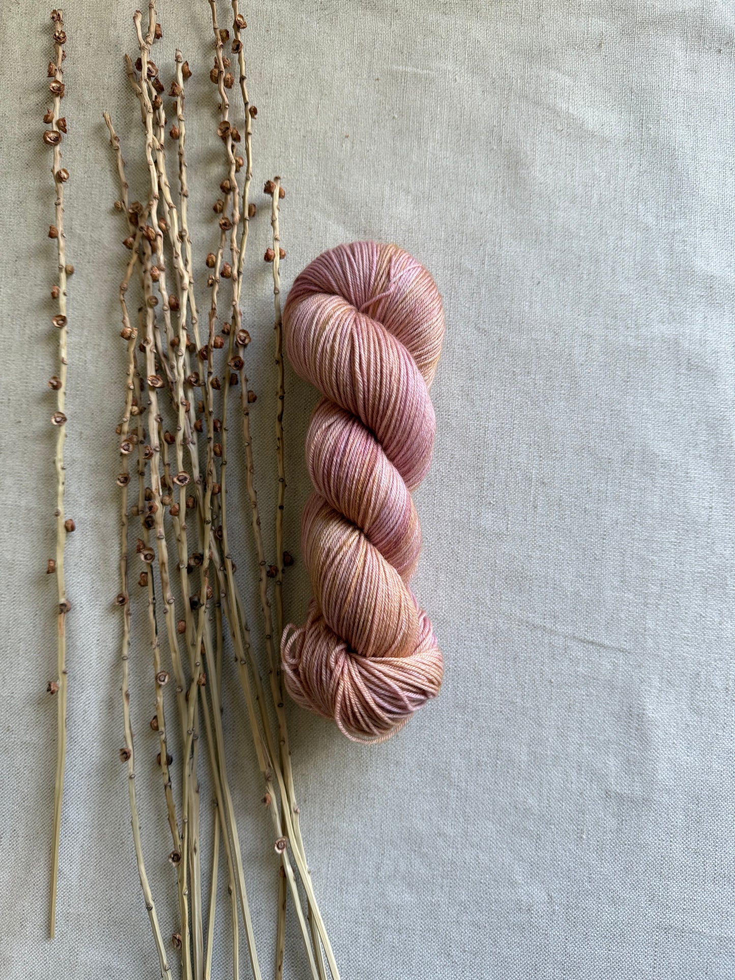 Lobster Bisque SW Merino Nylon 100g