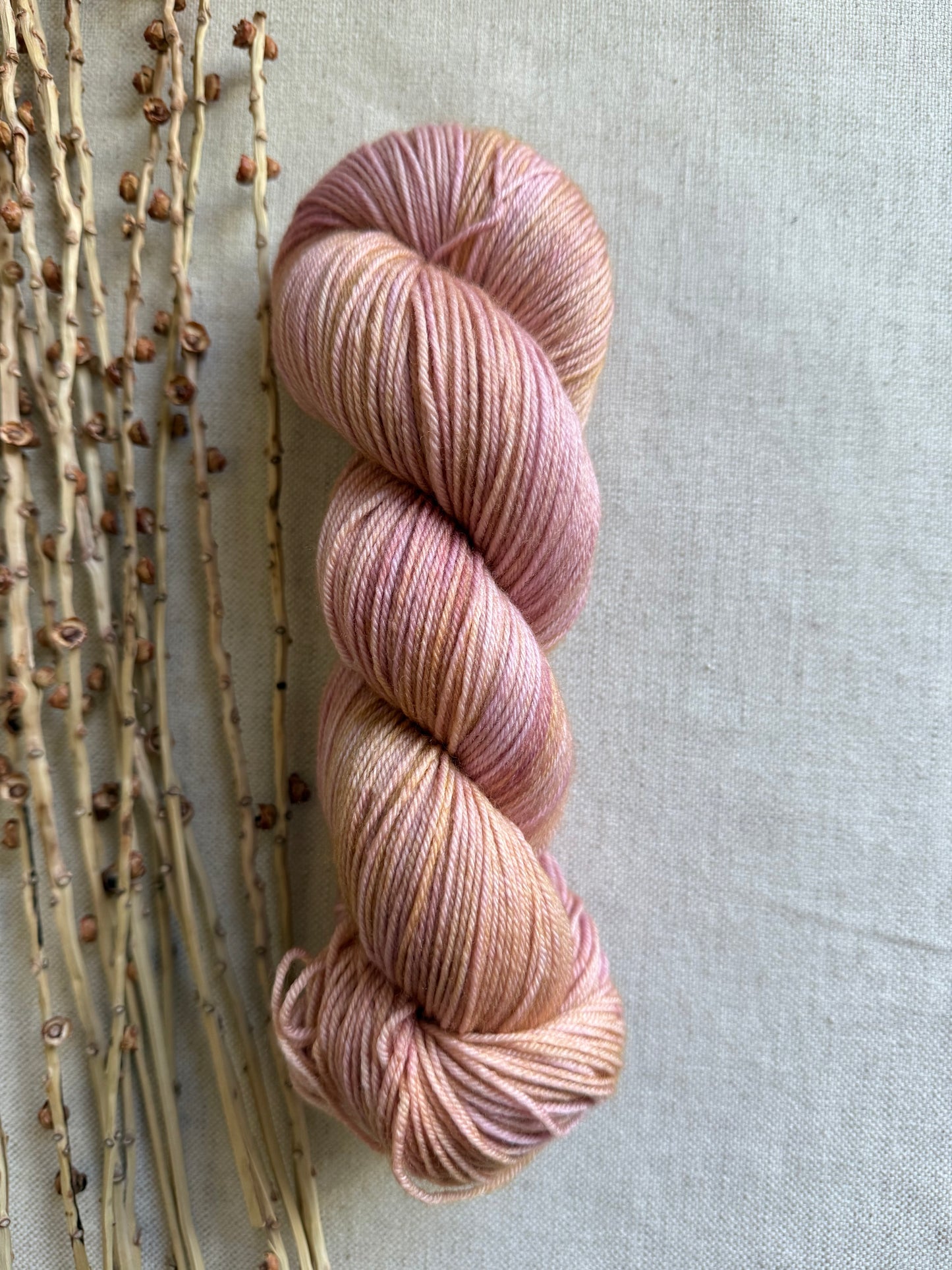 Lobster Bisque SW Merino Nylon 100g