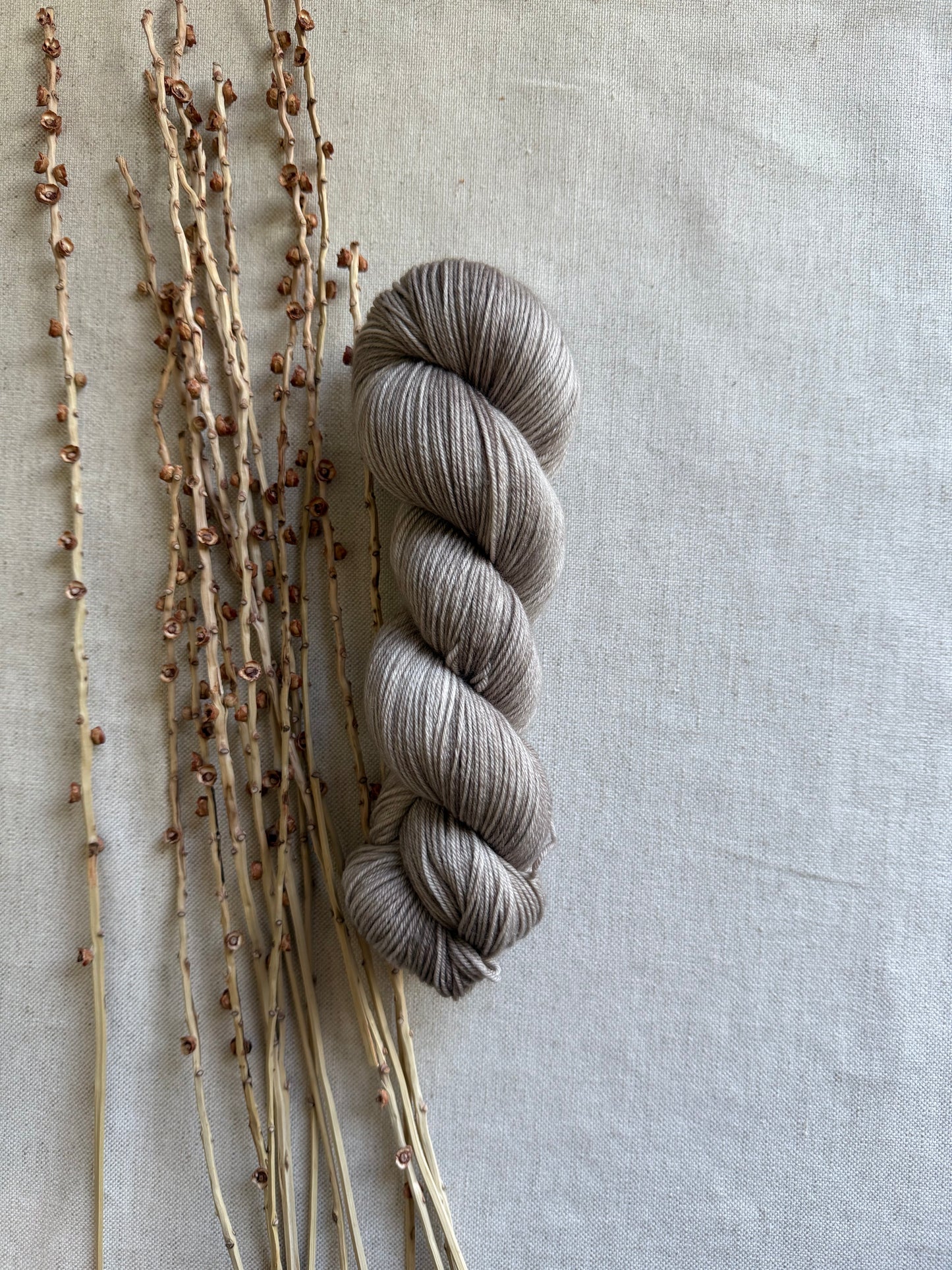 Light Pecan SW Merino Nylon 100g Skein