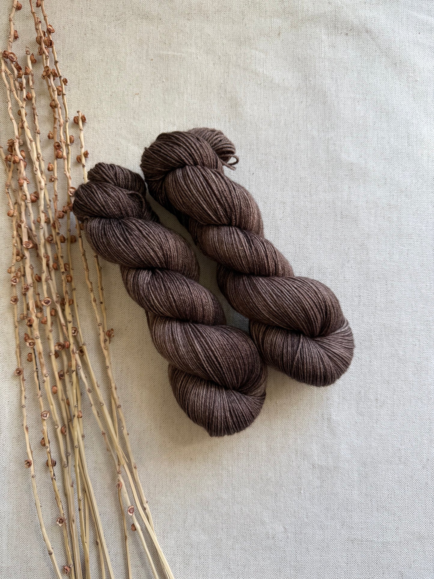 Pecan SW Merino Nylon 100g Skein