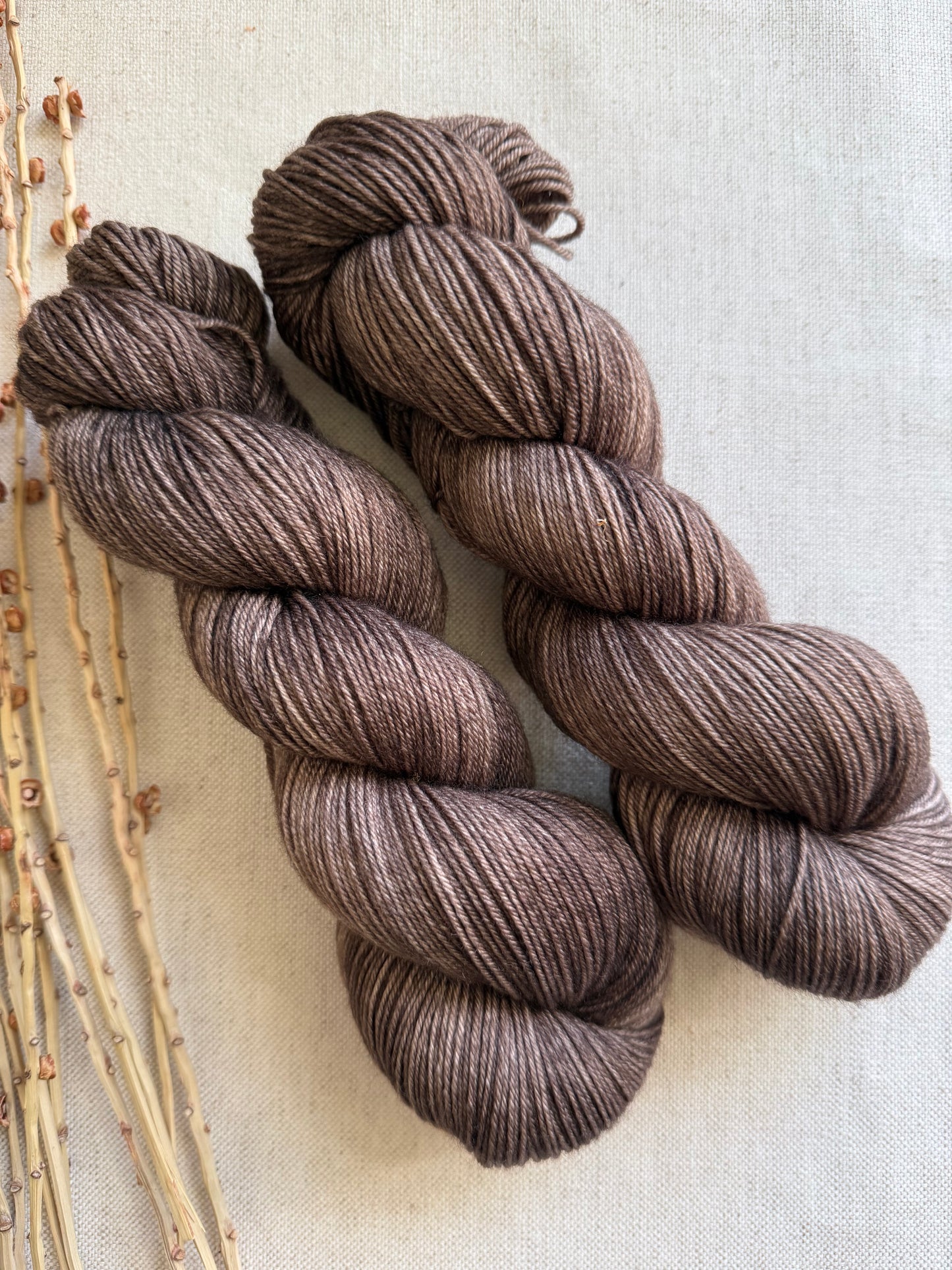 Pecan SW Merino Nylon 100g Skein
