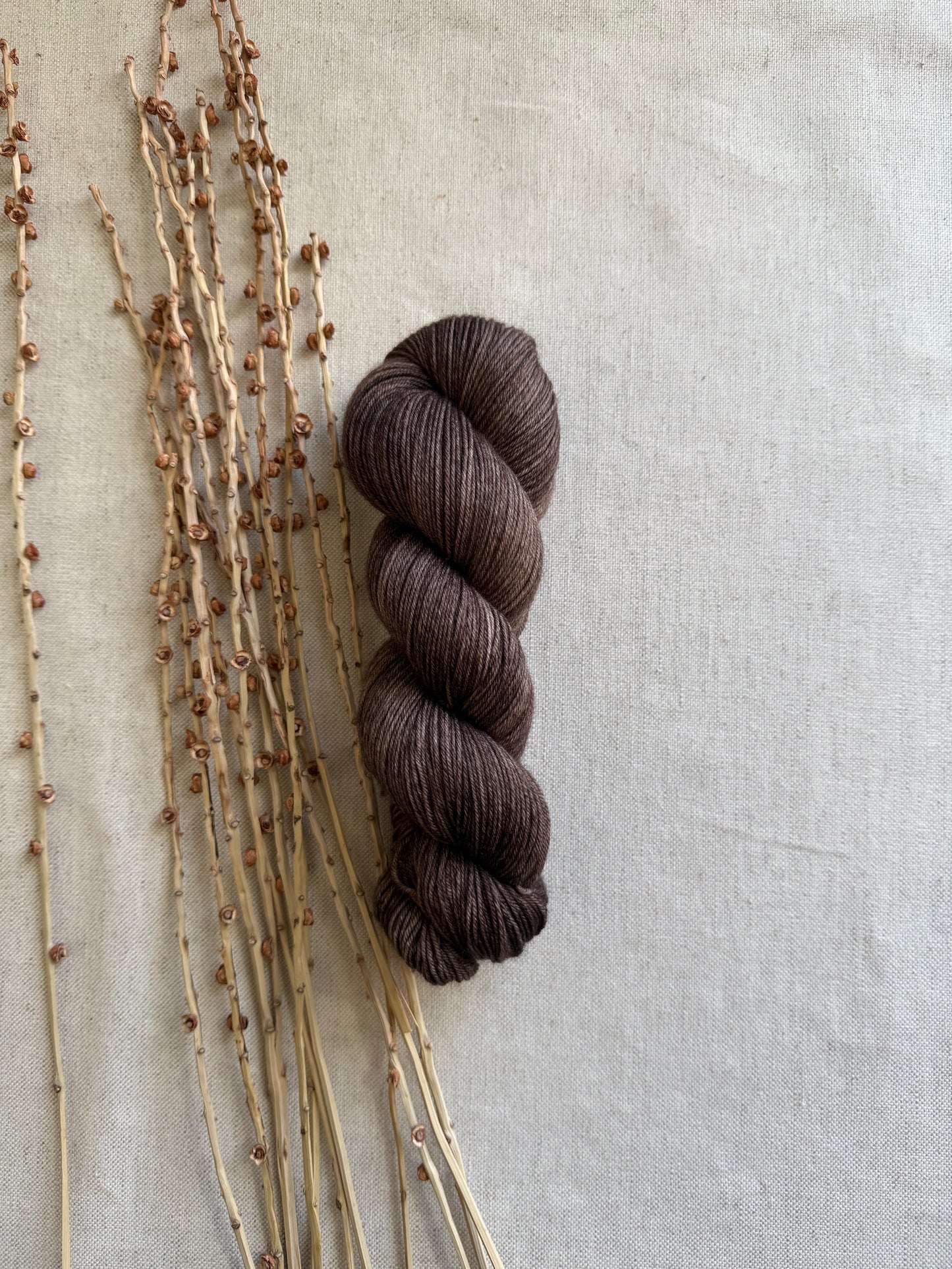 Pecan SW Merino Nylon 100g Skein