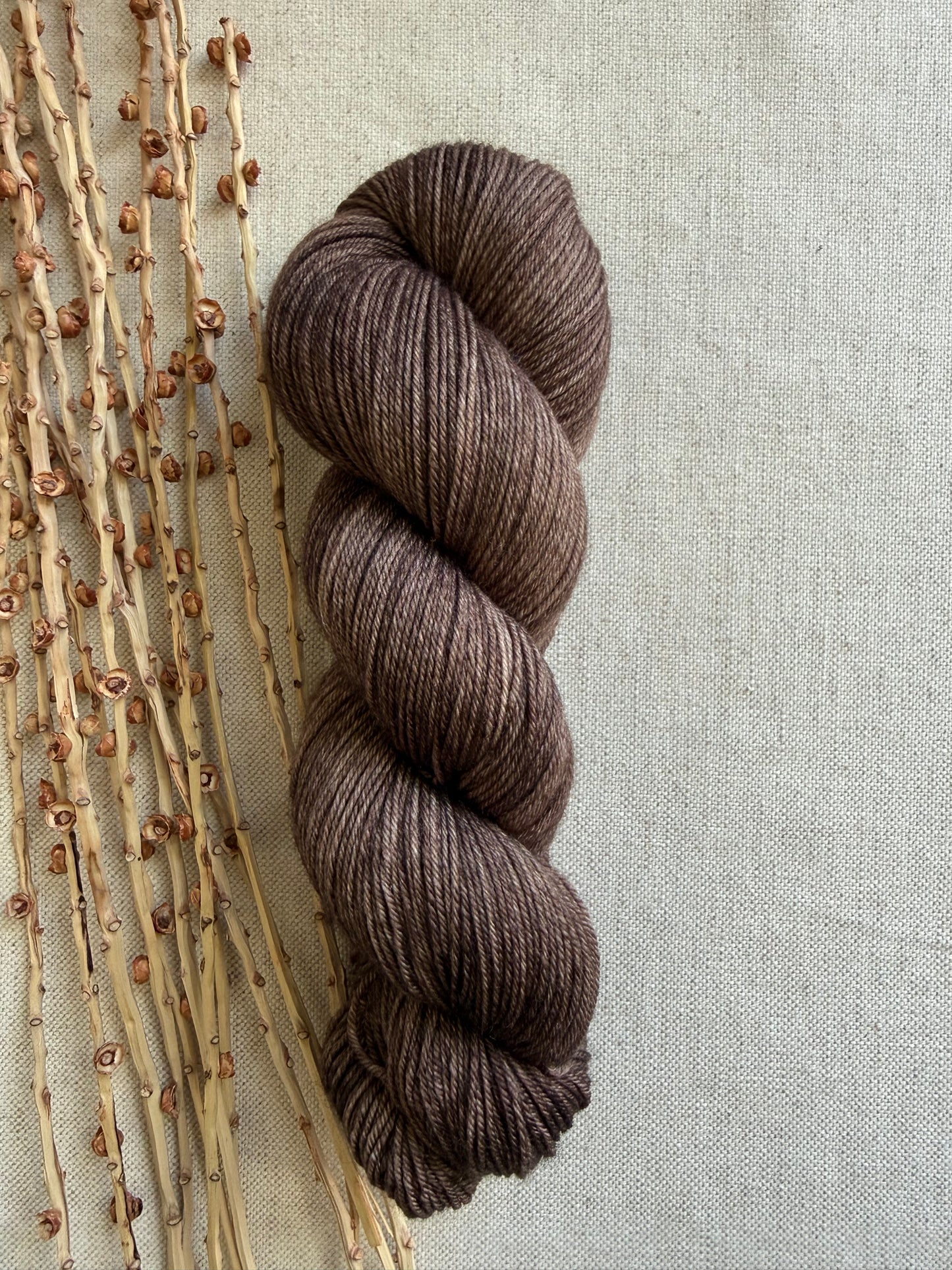 Pecan SW Merino Nylon 100g Skein