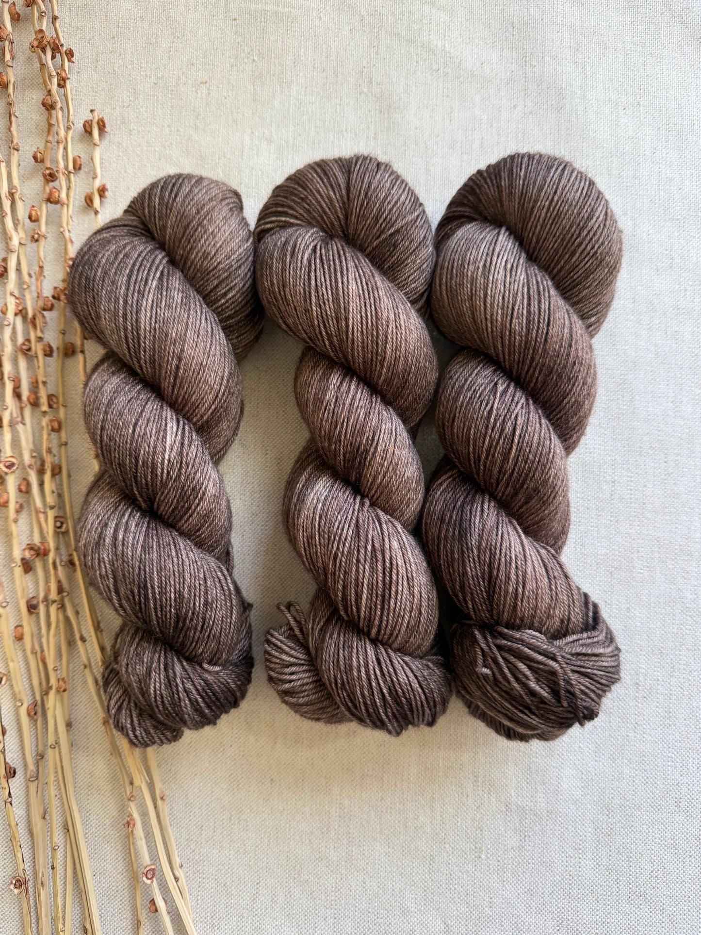 Pecan SW Merino Nylon 100g Skein