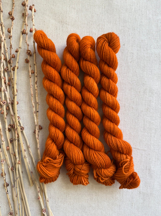 Spiced Pumpkin - SW Wool Recycled Nylon Mini Skein