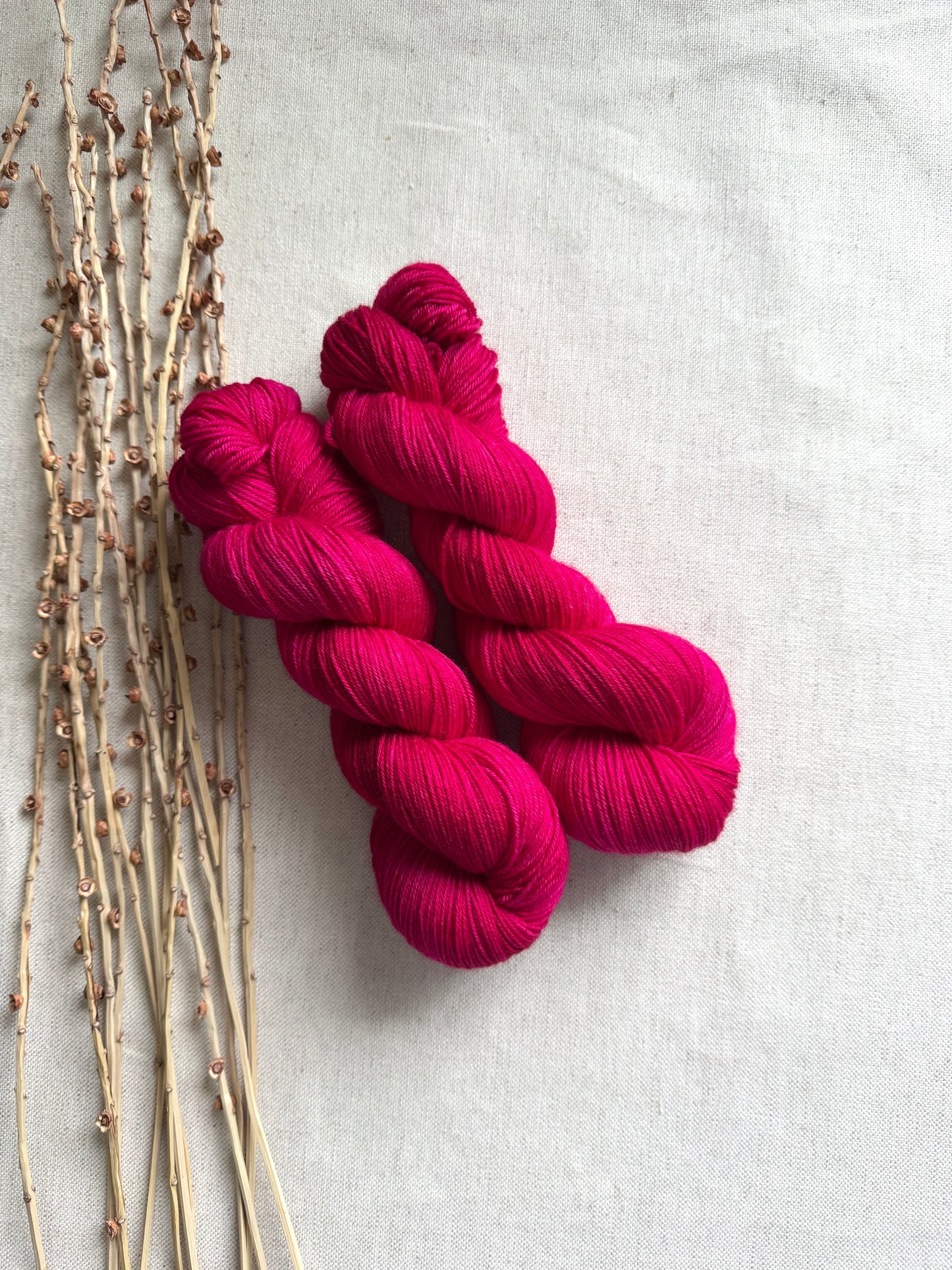 Polar Red SW Merino Nylon 100g Skein