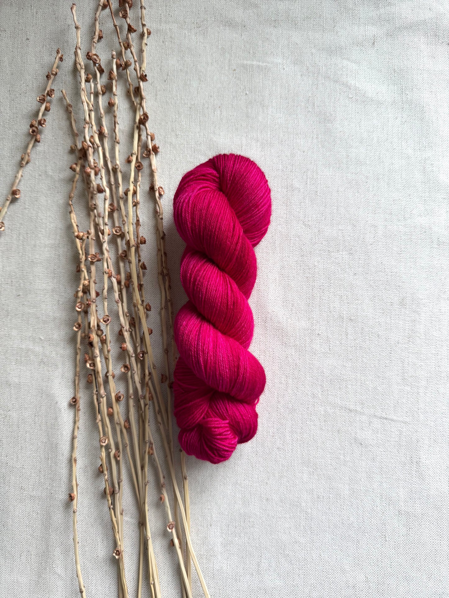 Polar Red SW Merino Nylon 100g Skein