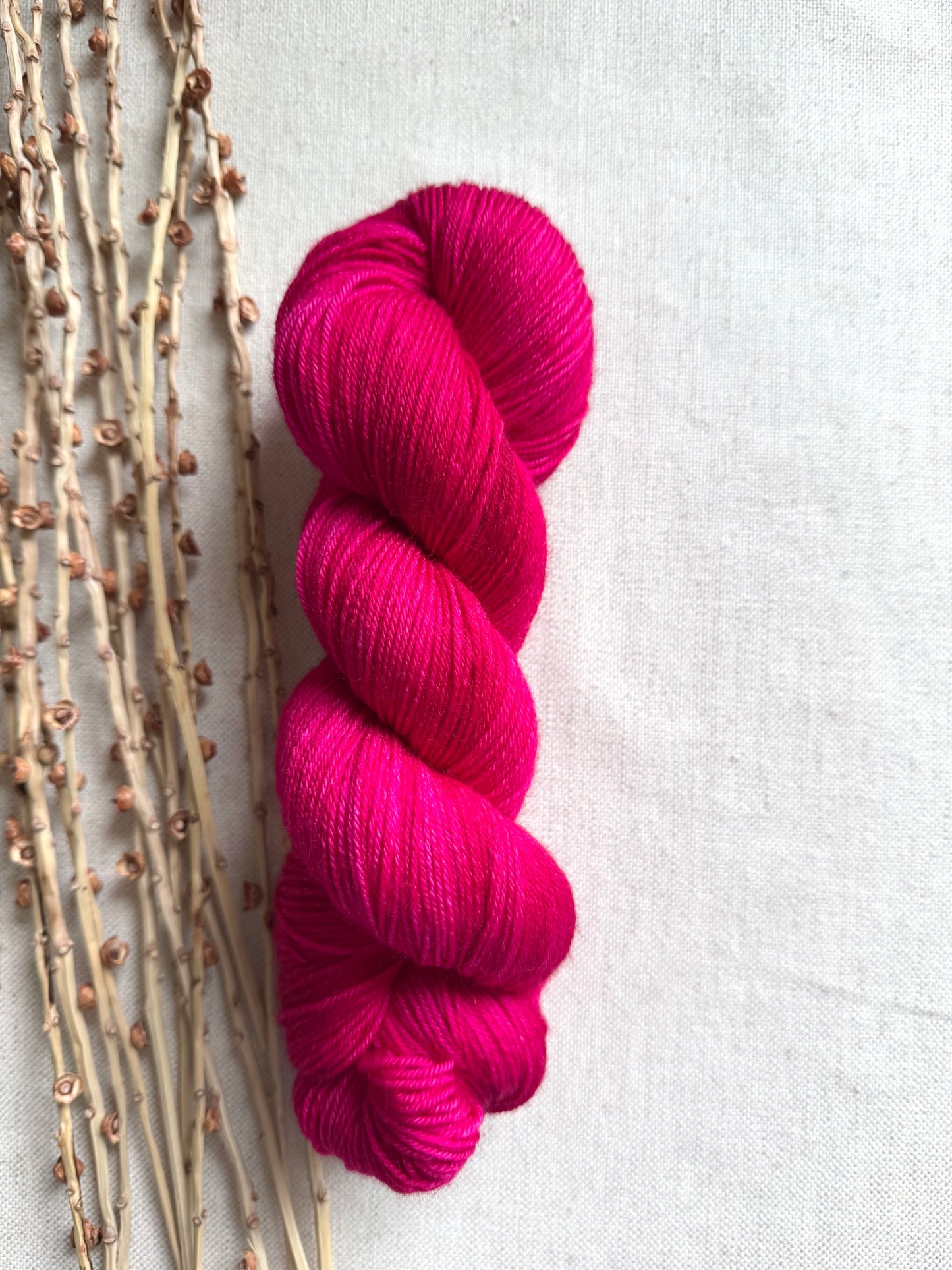 Polar Red SW Merino Nylon 100g Skein