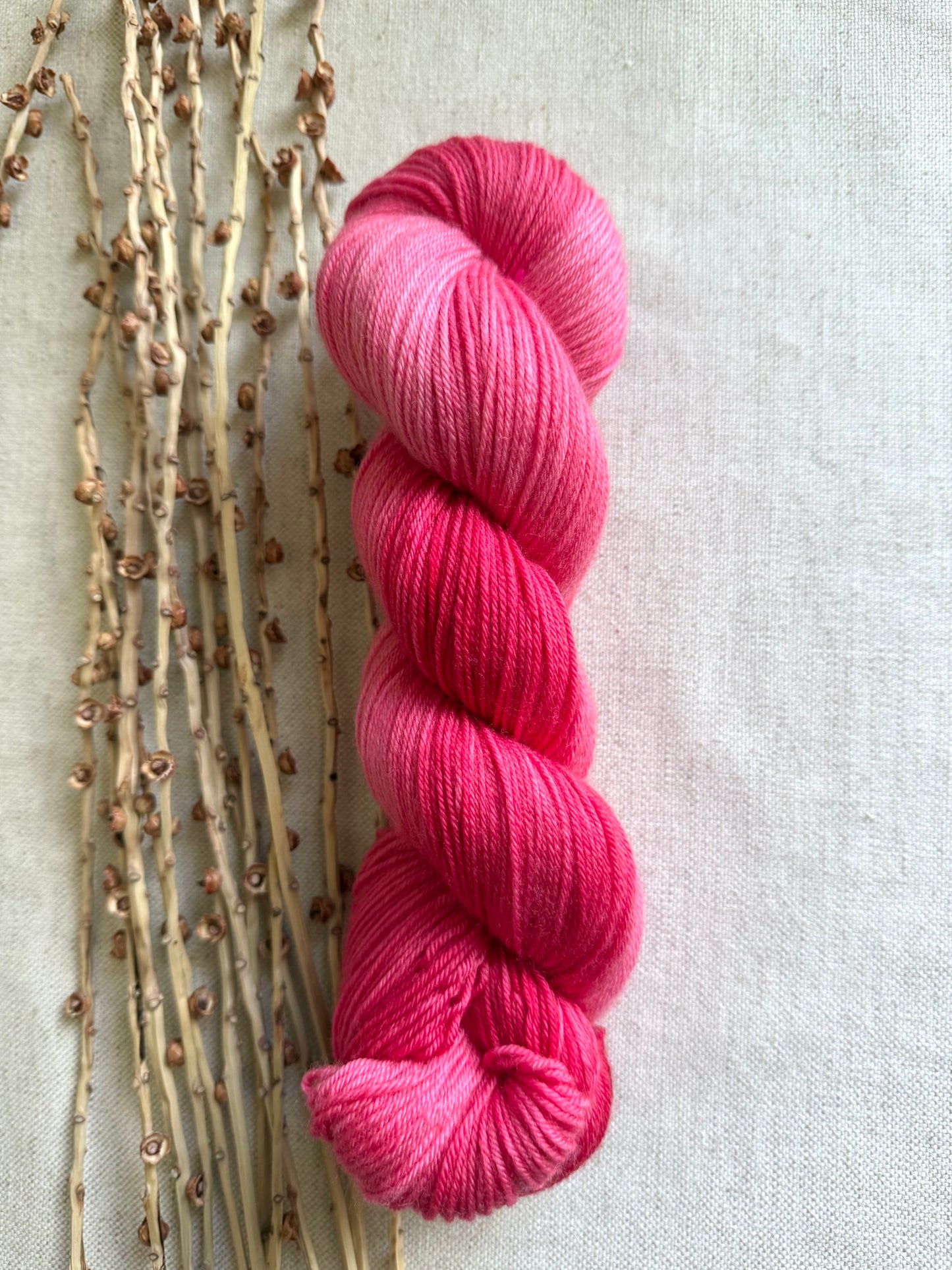 Striped Watermelon 100g SW Merino Nylon