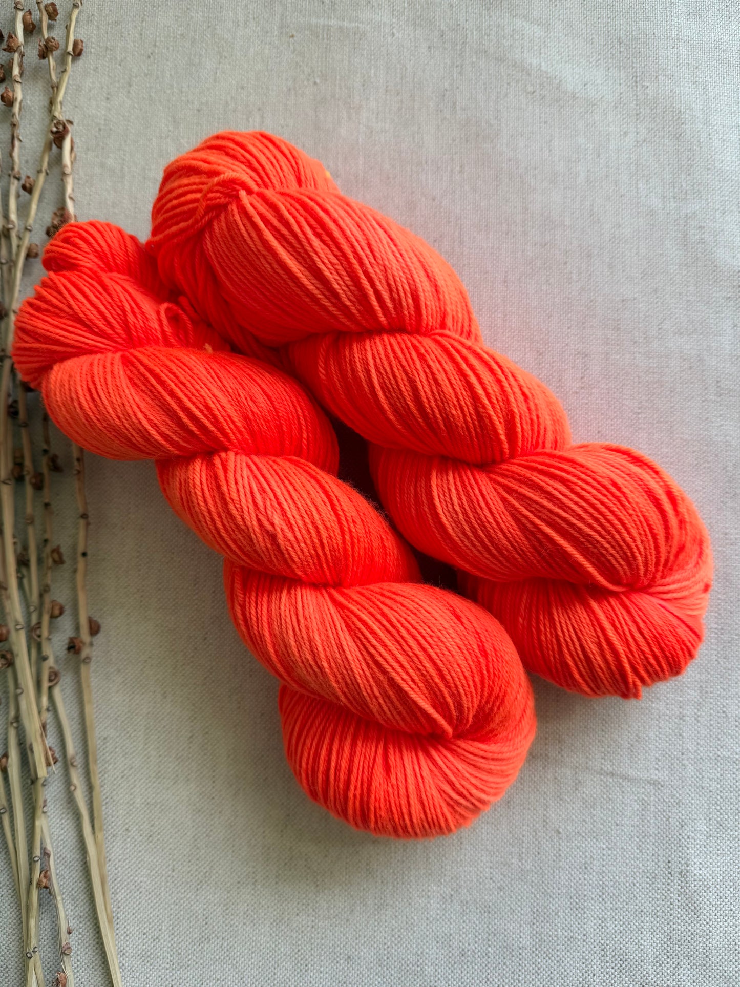 Neon Shrimp SW Merino Nylon 100g Skein