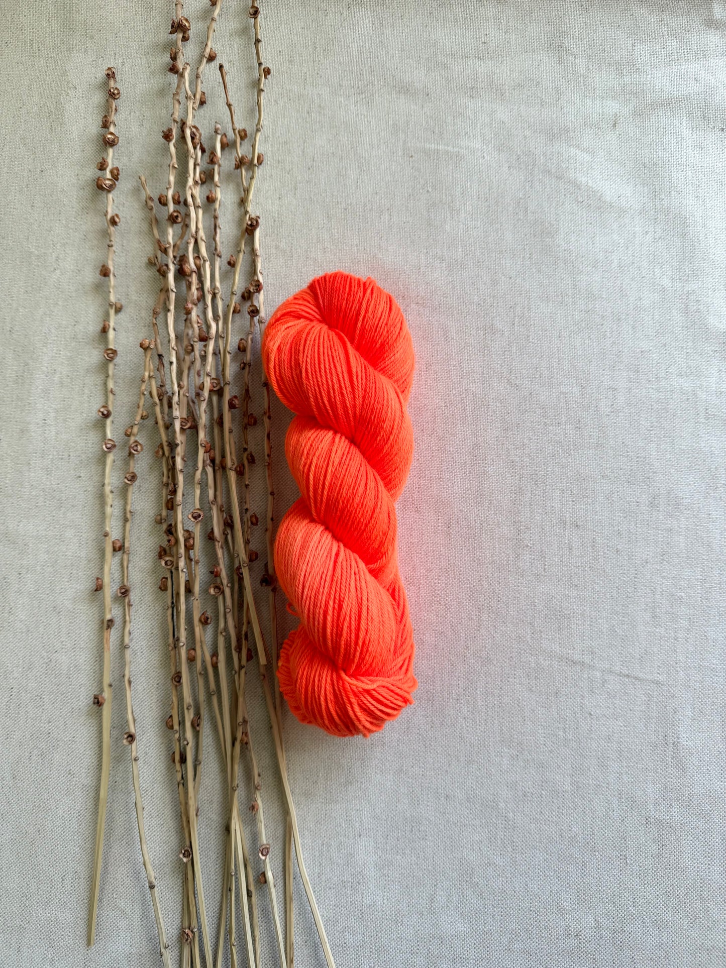 Neon Shrimp SW Merino Nylon 100g Skein