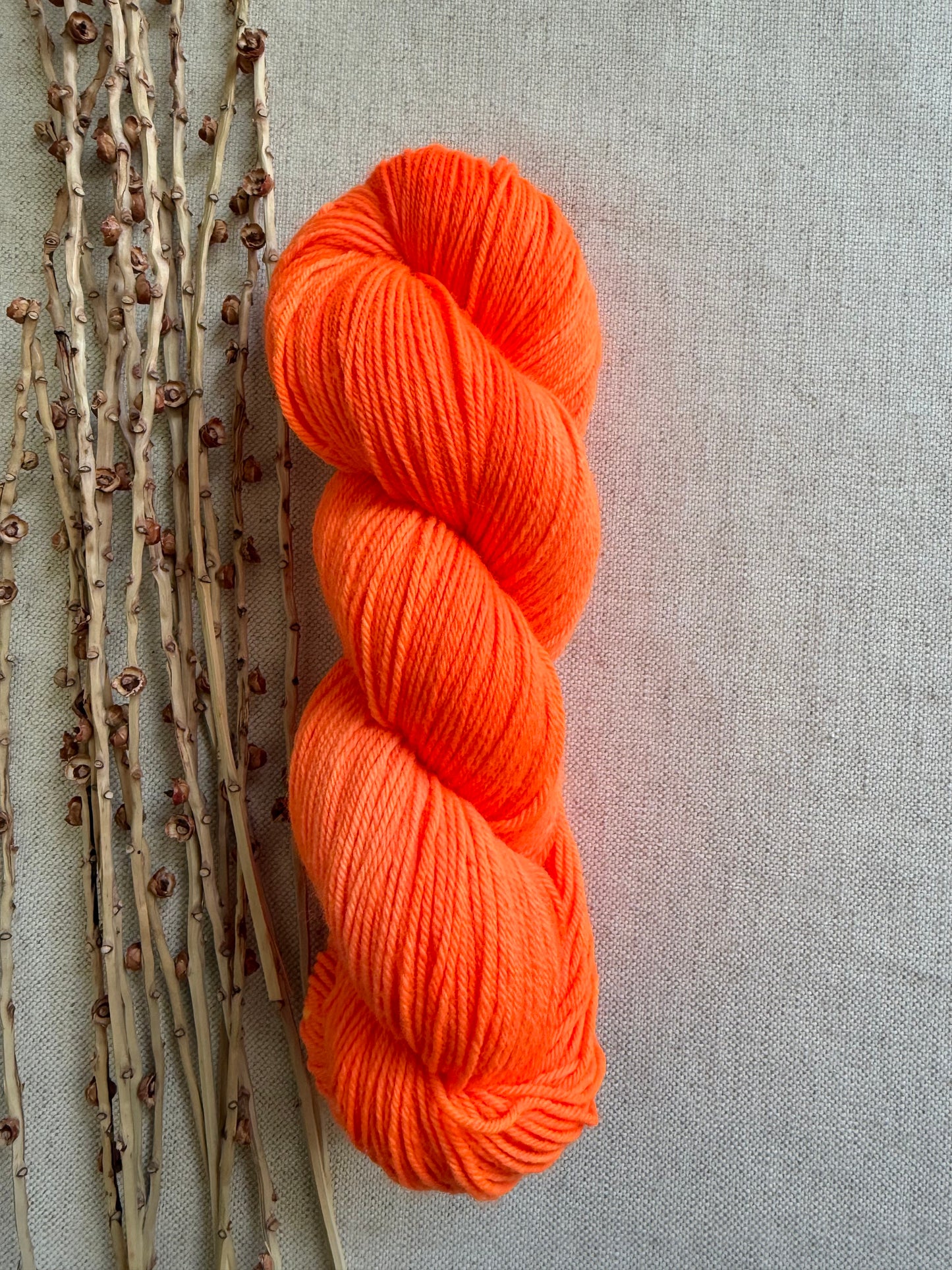 Neon Shrimp SW Merino Nylon 100g Skein