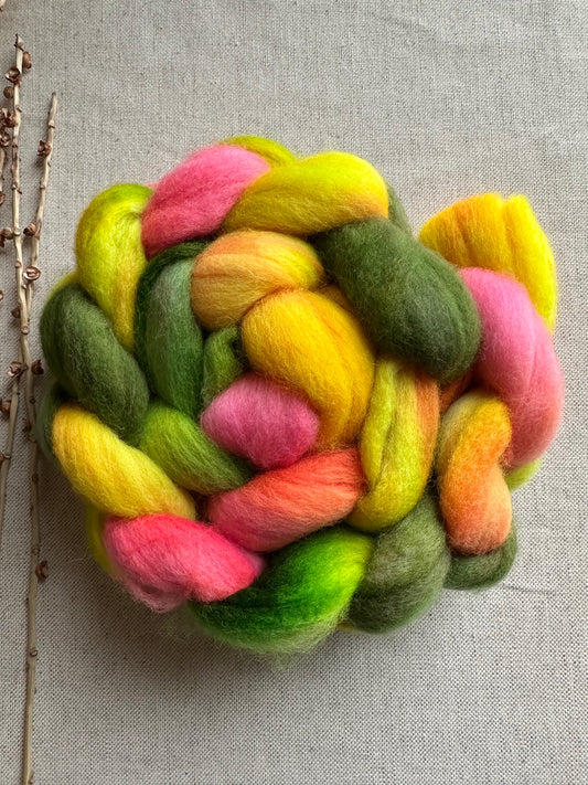 Tadpole Polwarth Top Spinning Fiber