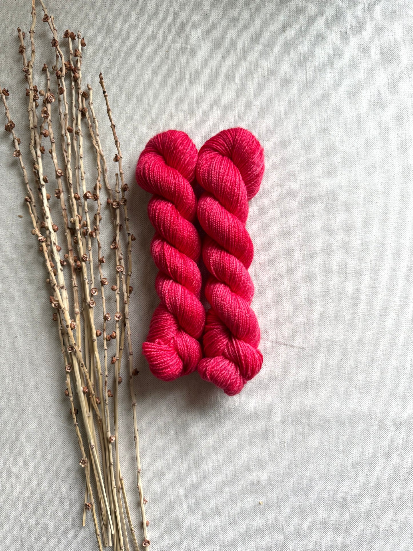 Cherry SW Merino Nylon 50g