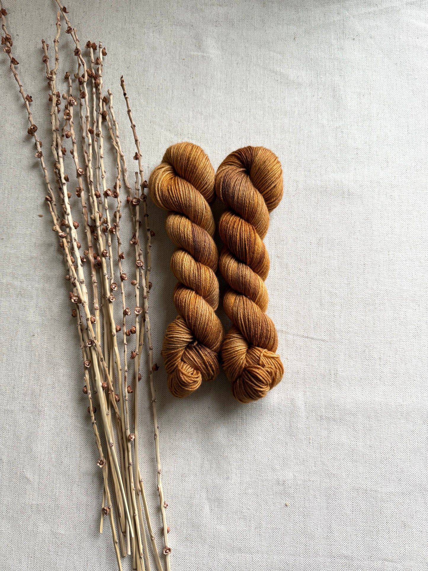 Maple Sugar SW Merino Nylon 50g Skein