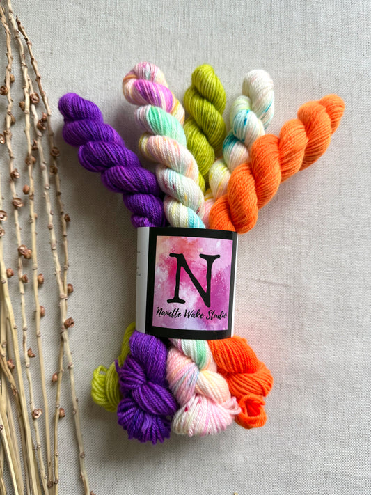 Sorbet Surprise - SW Merino Nylon Mini Skein Set