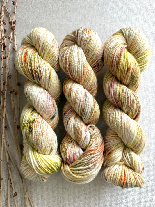 Pumpkin Pie Spice Merino