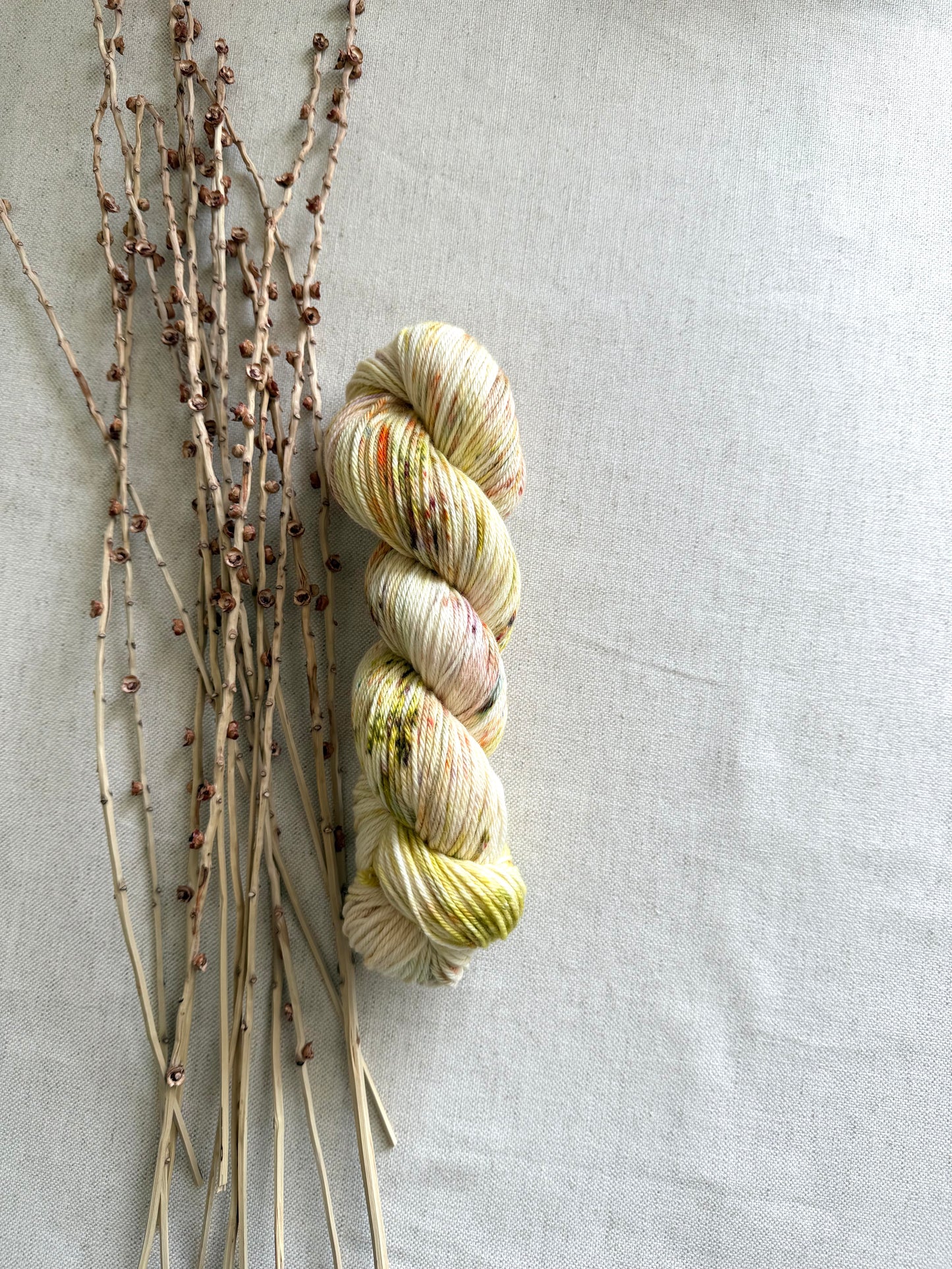 Pumpkin Pie Spice Merino
