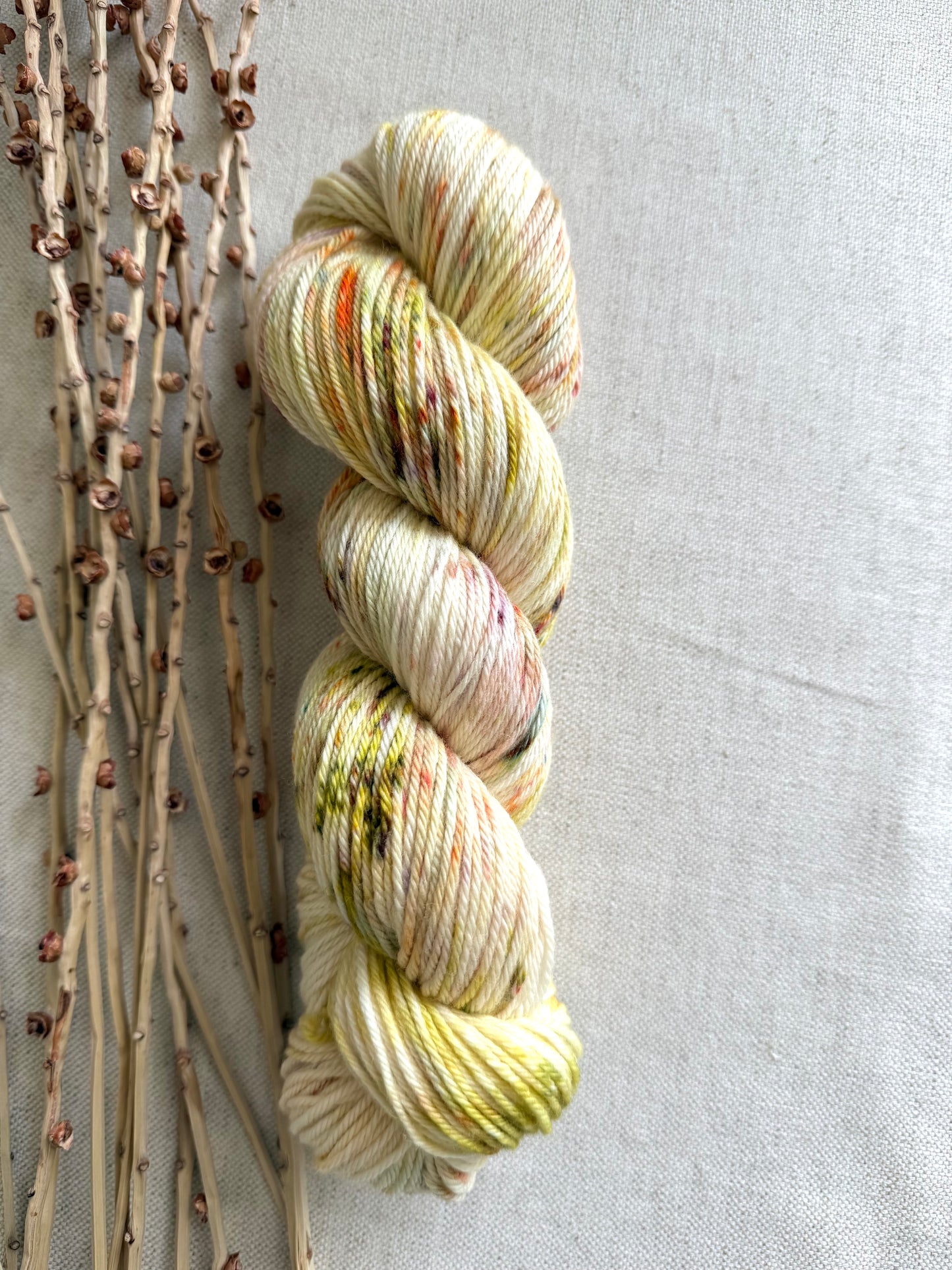 Pumpkin Pie Spice Merino