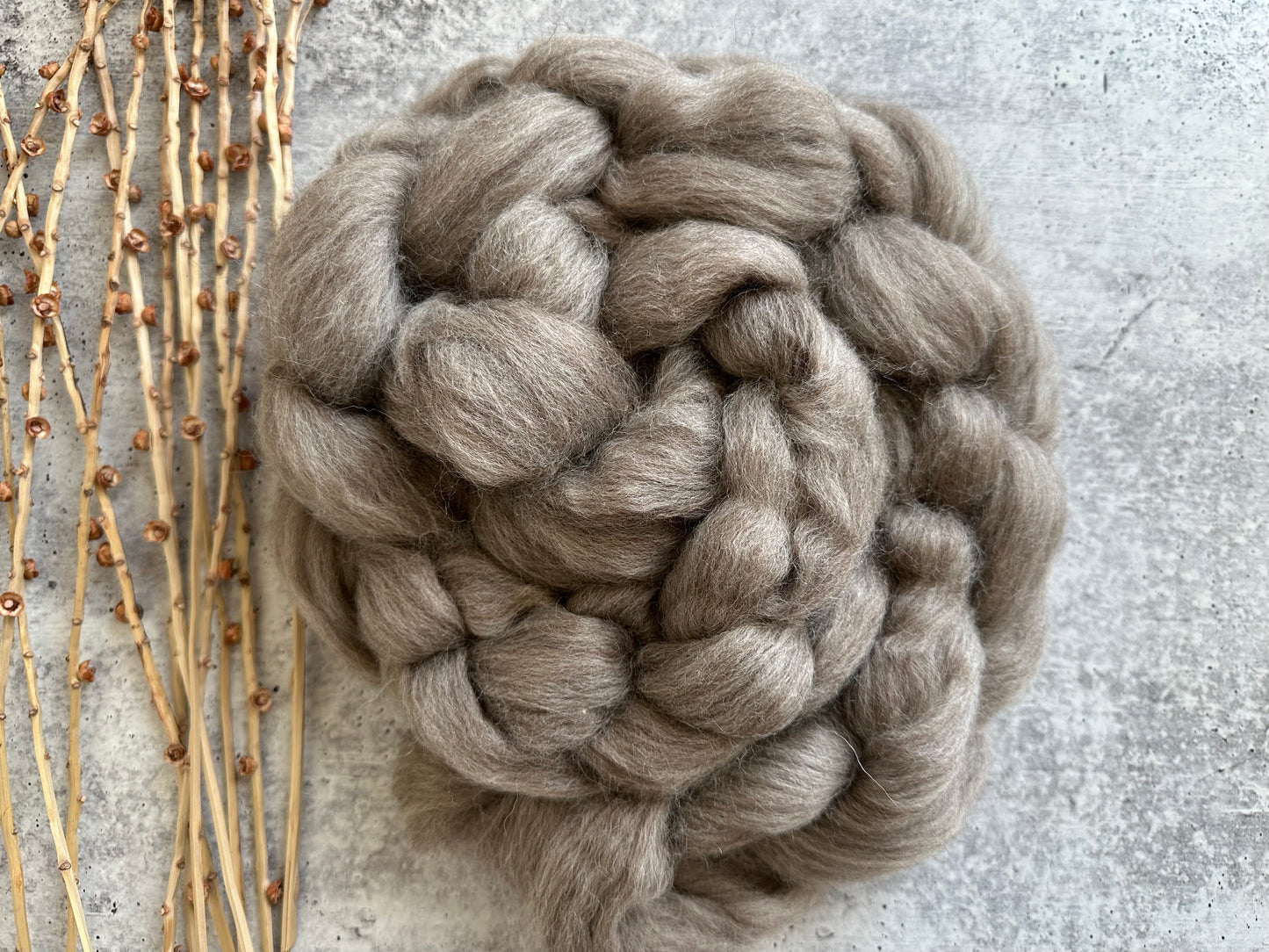 Natural Oatmeal Blue Faced Leicester Top Spinning Fiber