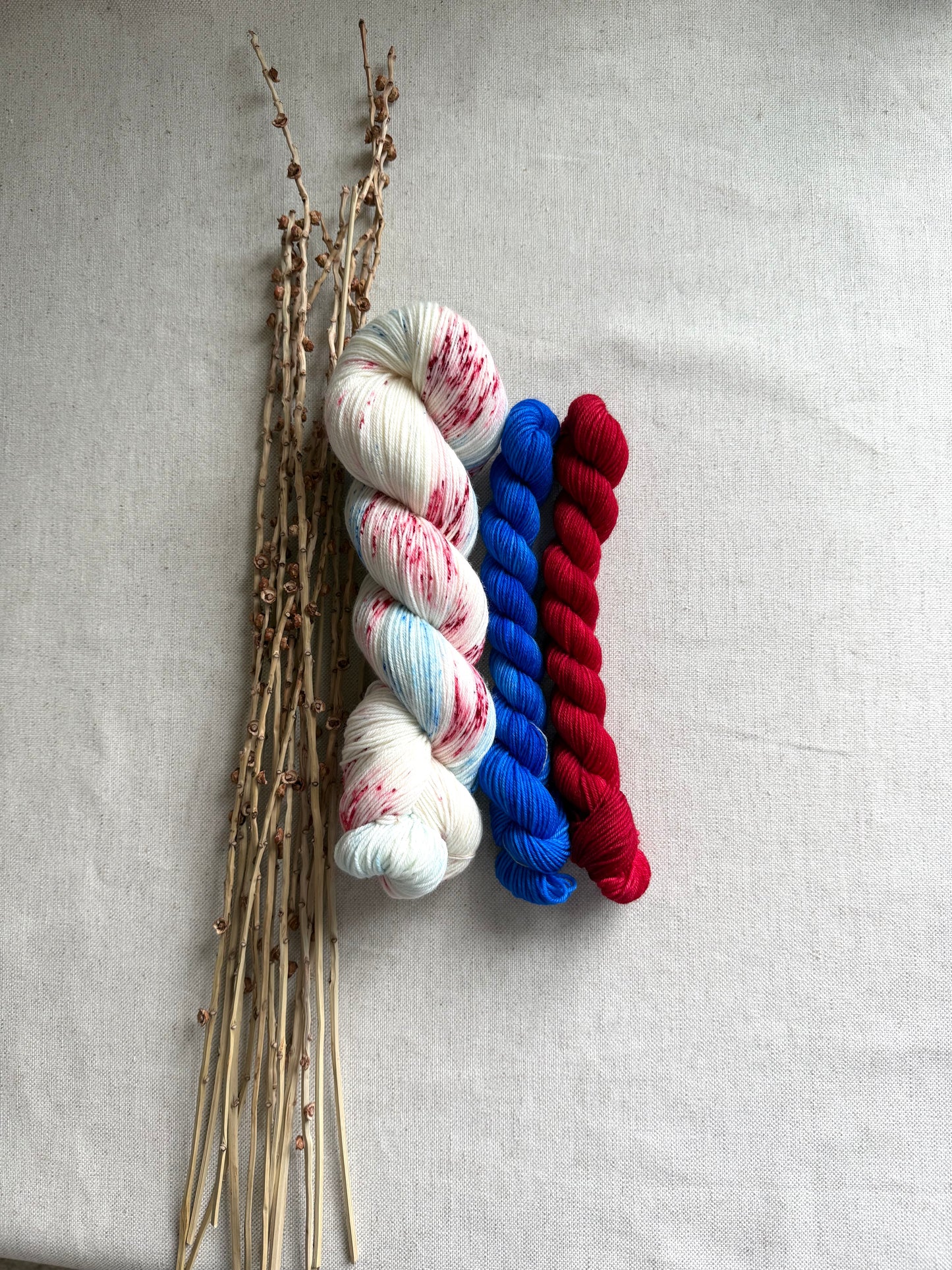 Patriotic Sock Set