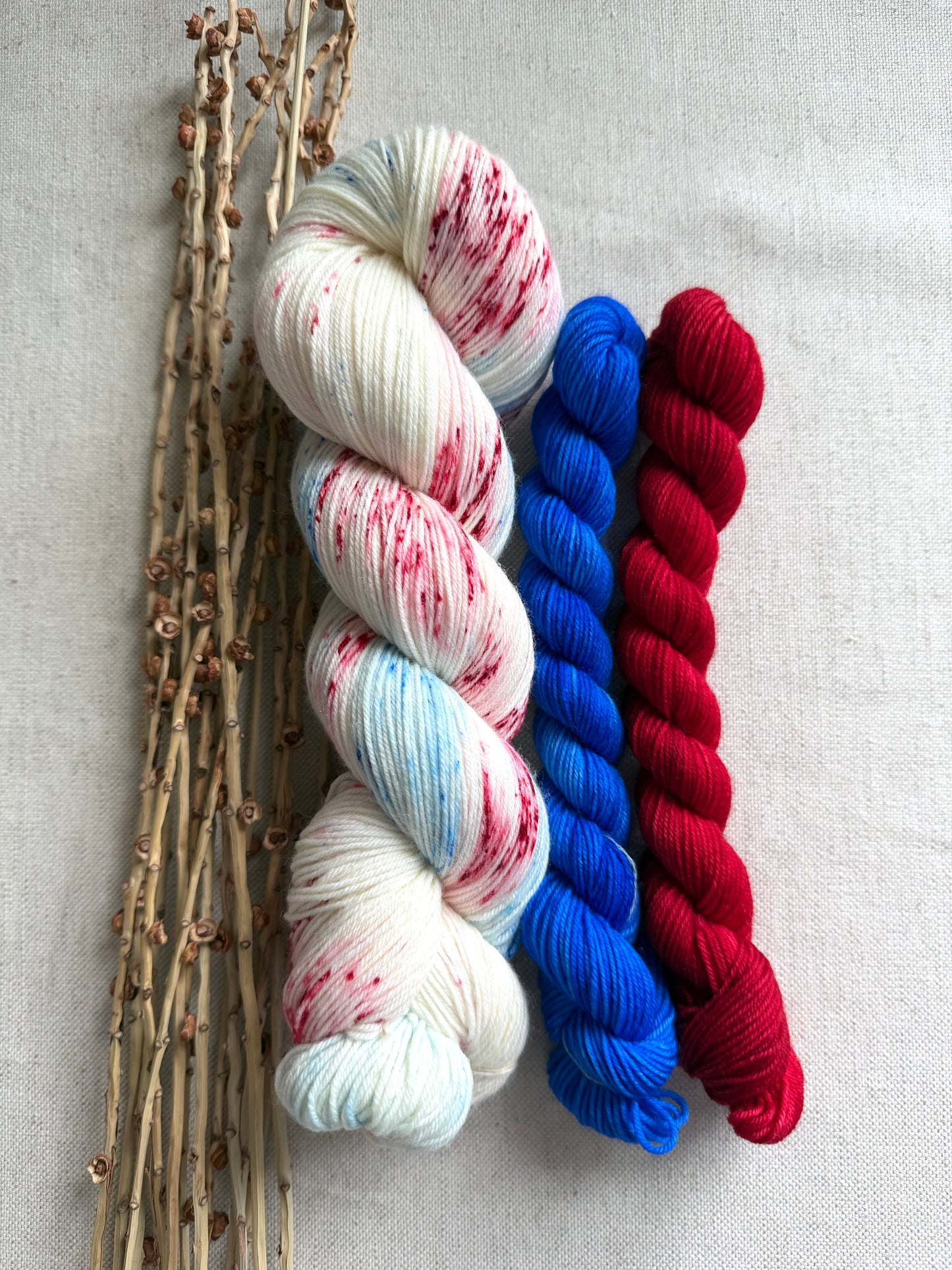 Patriotic Sock Set