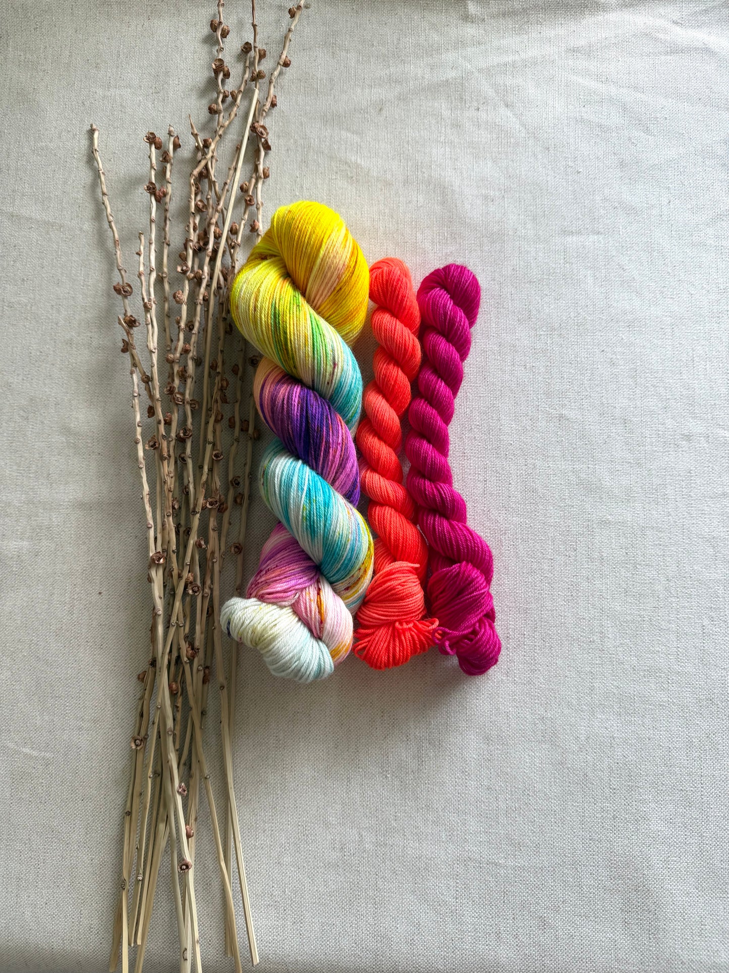 Carousel Sock Set