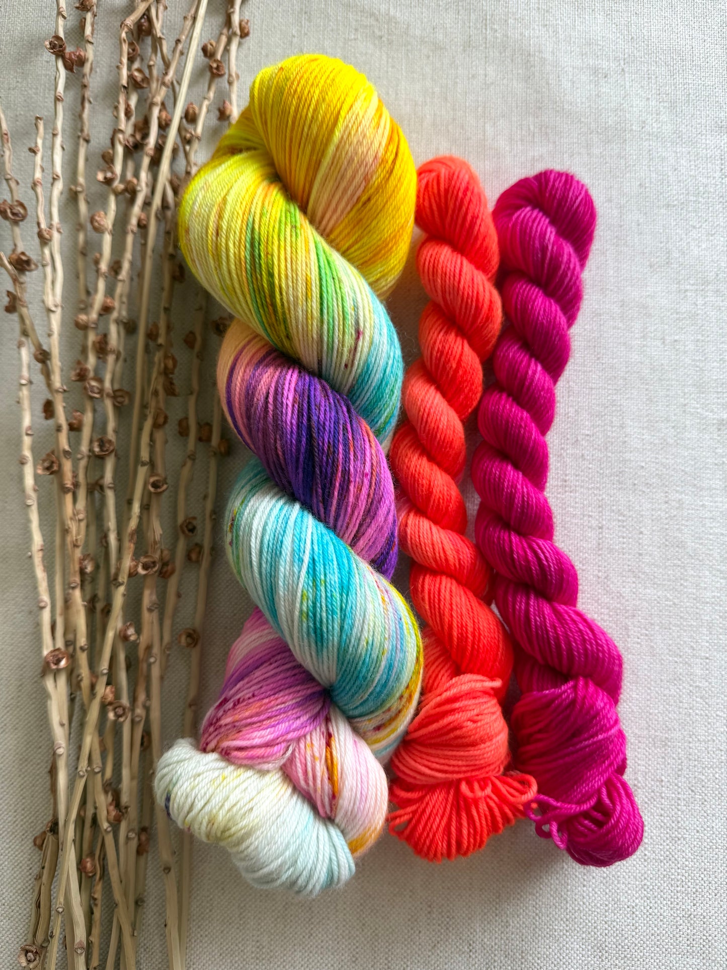 Carousel Sock Set